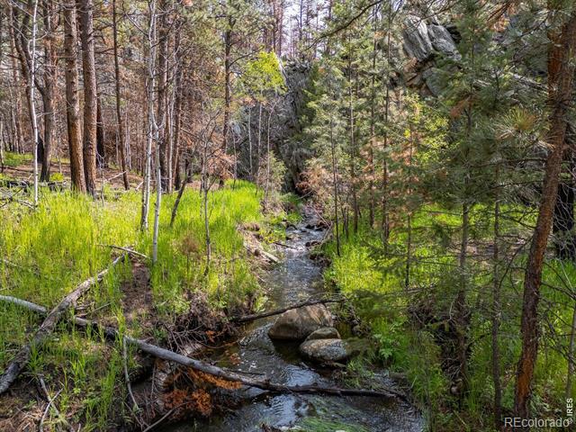 981 Cedar Creek Road