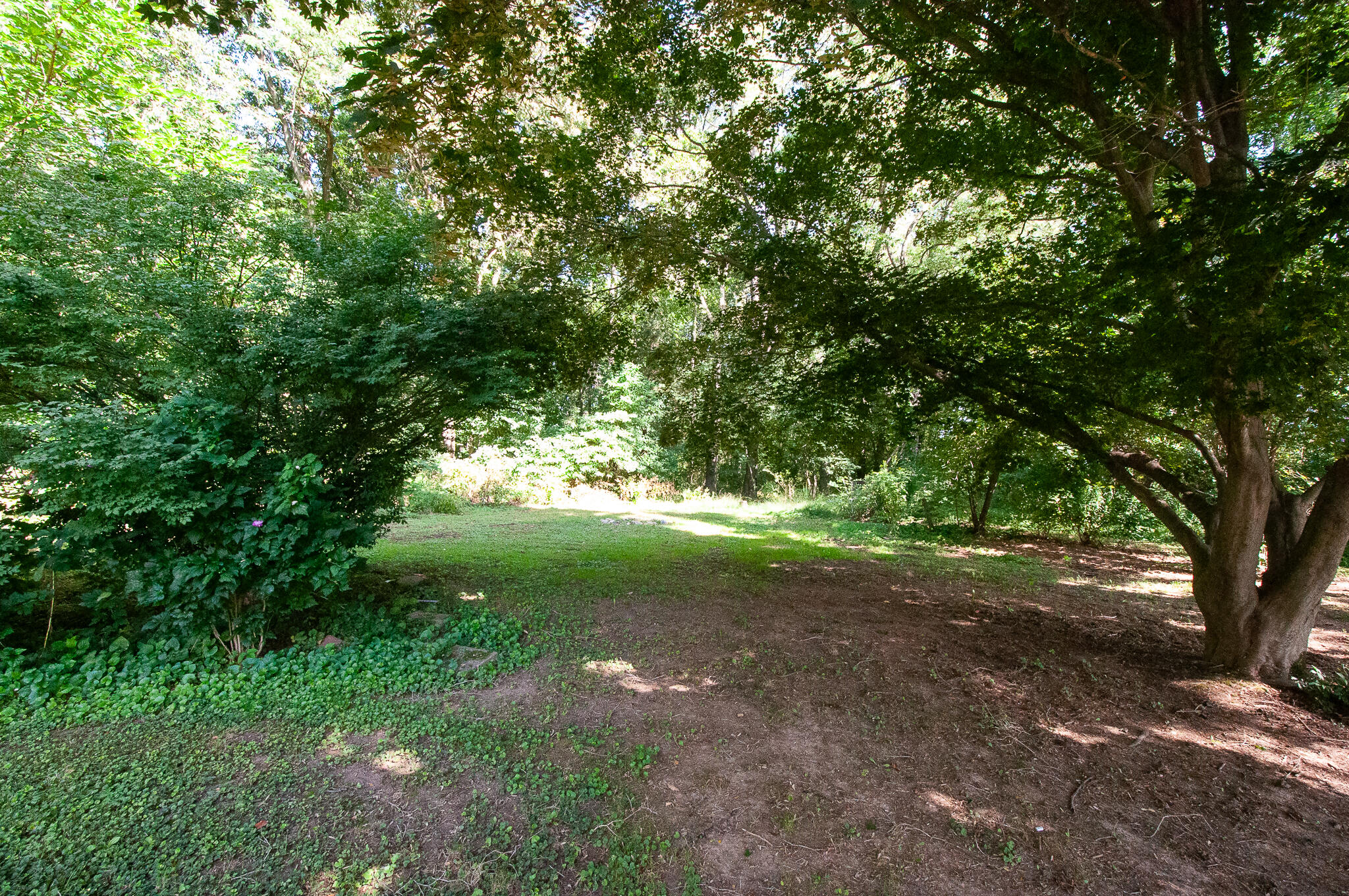 15494 Coon Hollow Road