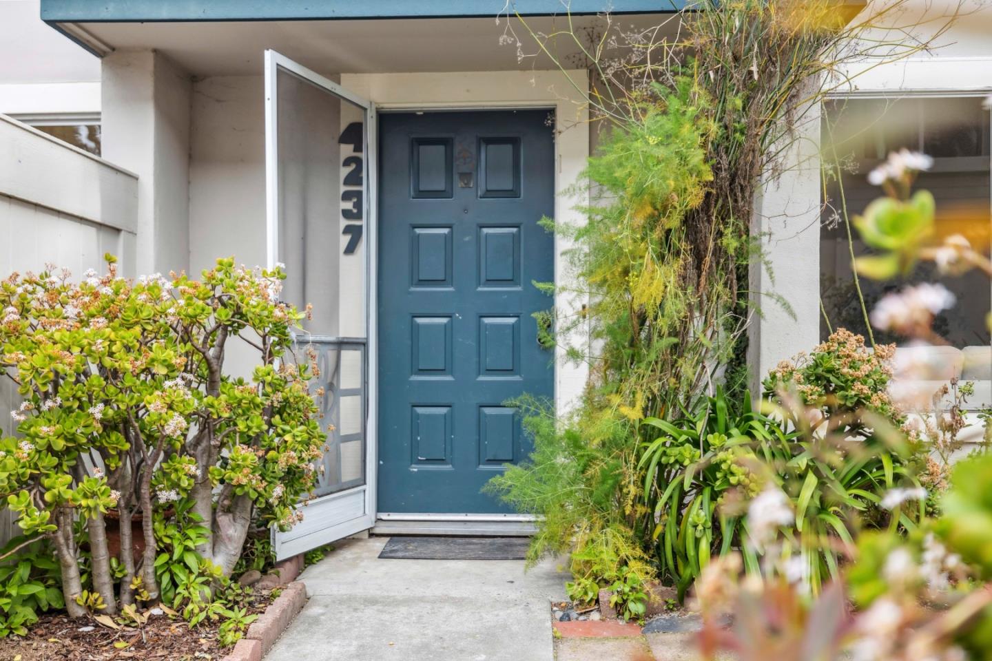 4237 Starboard CT
