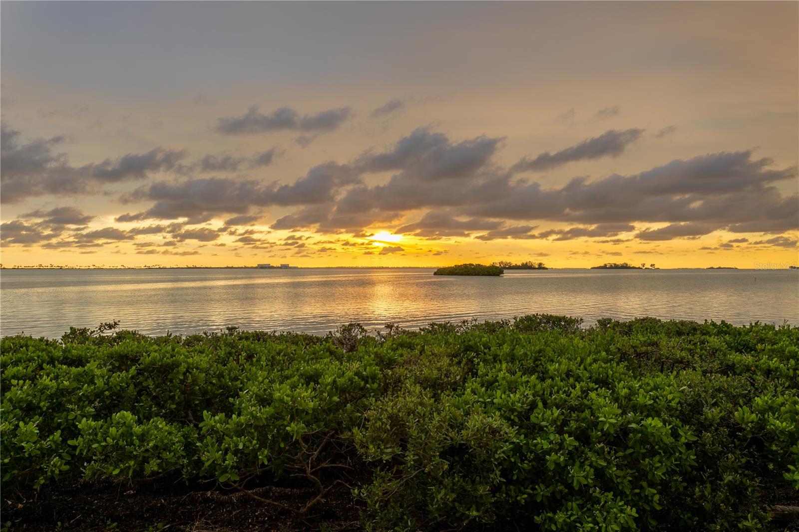 2700 BAYSHORE BLVD #11405