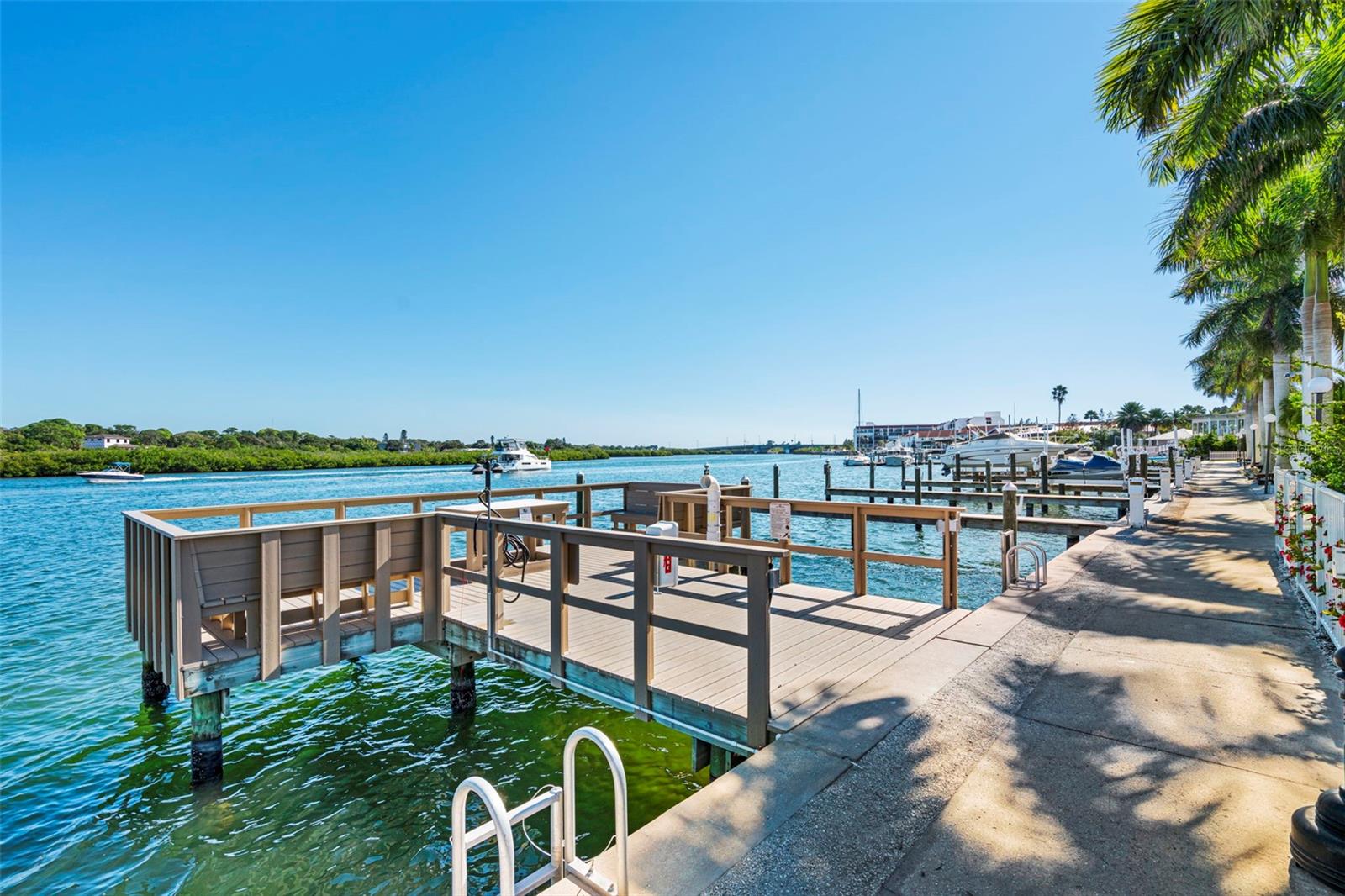 Waterfront dock and marina with boats along a palm-lined walkway.