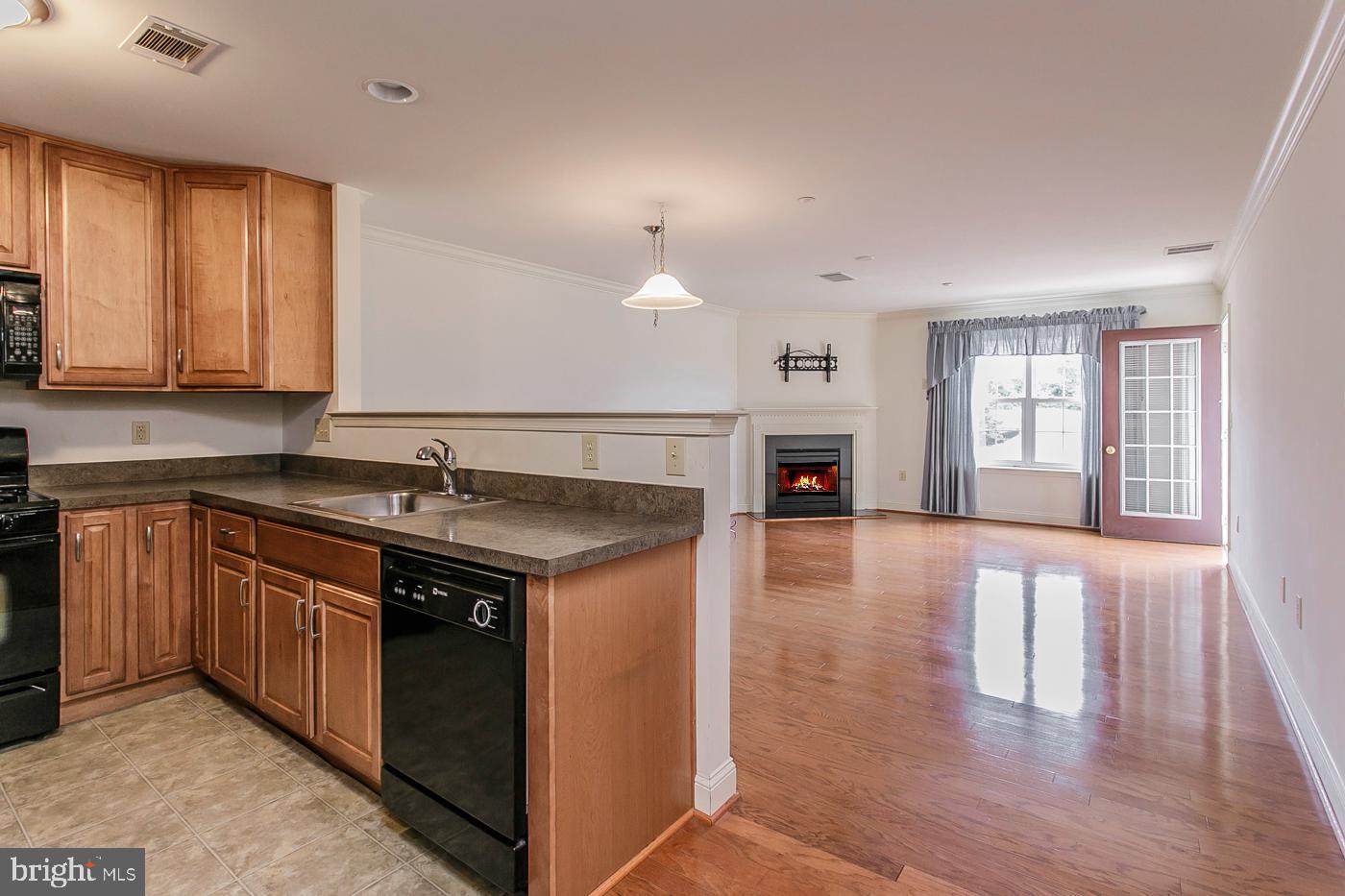 3920 Ashland Dr #225