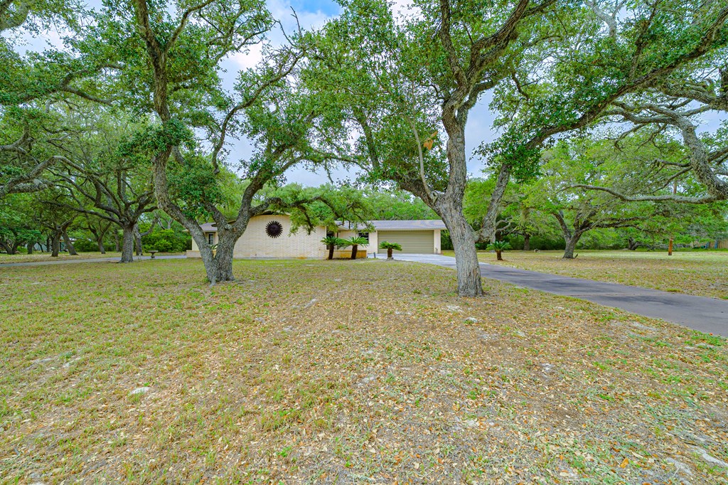 1309 Mesquite St