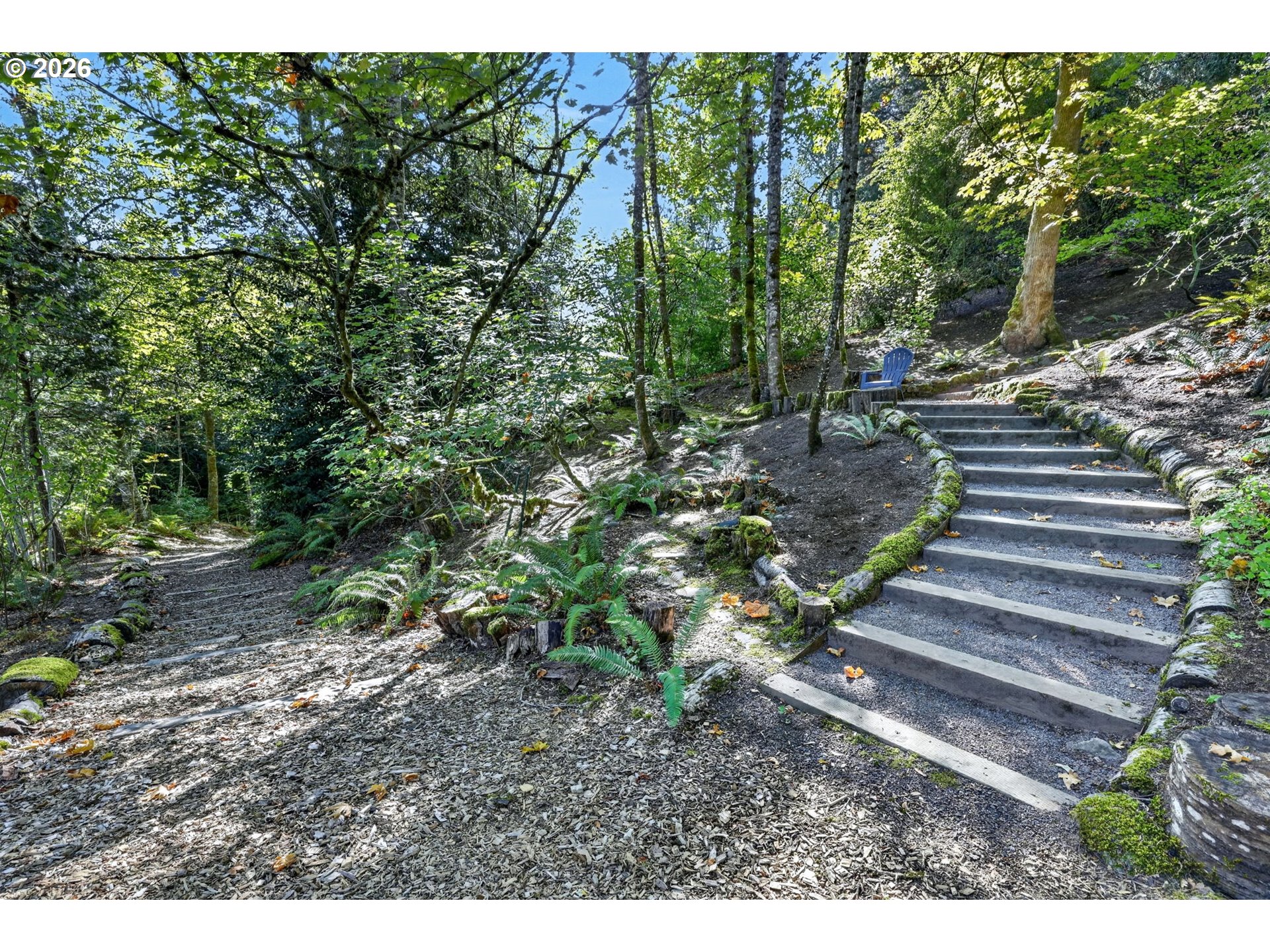 Wooded hillside garden with moss-edged steps, fern beds, and a blue chair.