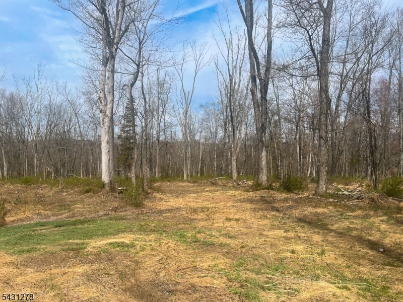 29 Twin Oaks Ln