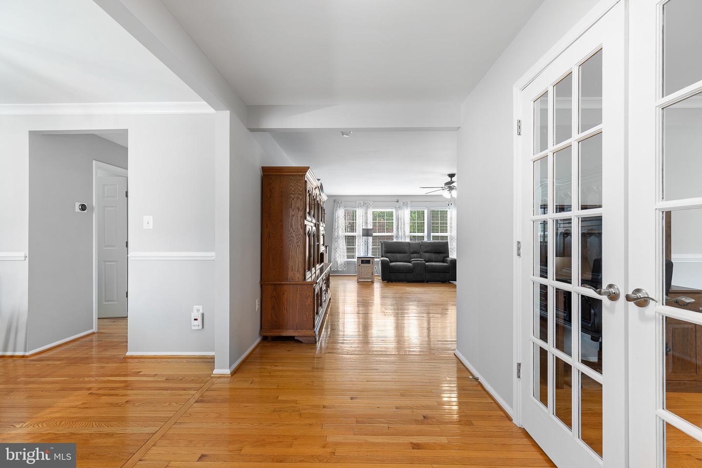 56 Ripley Rd