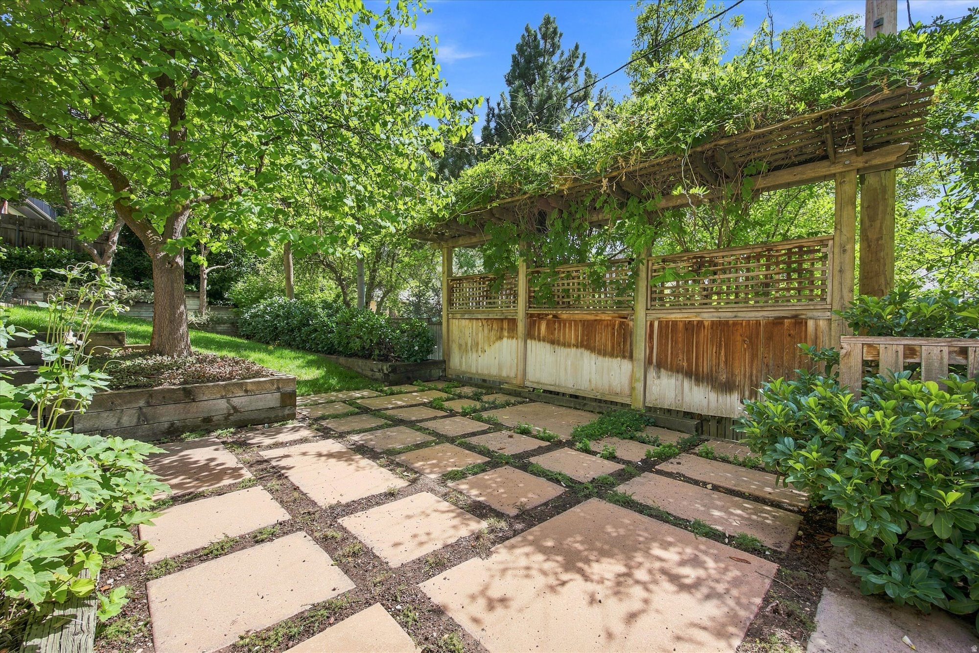 Backyard patio with a vine-covered wooden pergola and square stone pavers