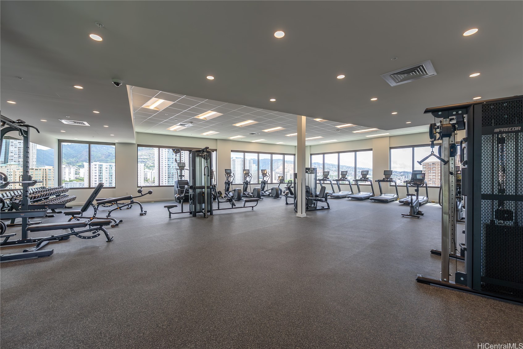 1515 Liona Street 3707