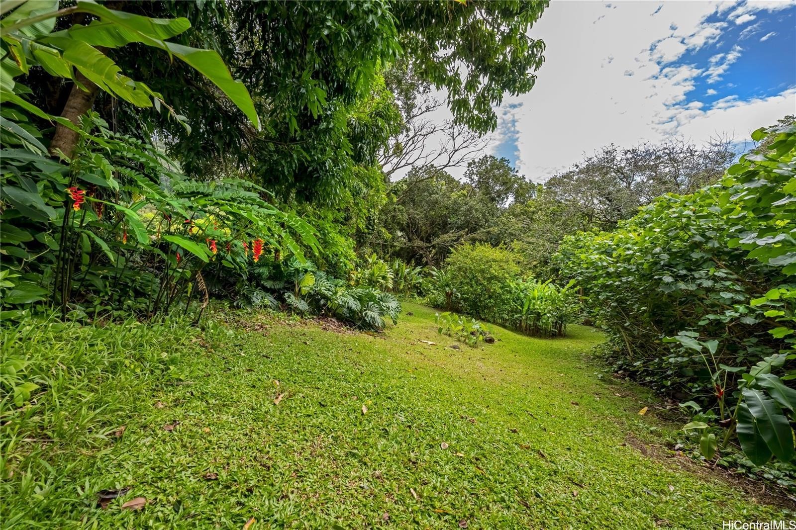 3224 Pelekane Drive Parcel 053