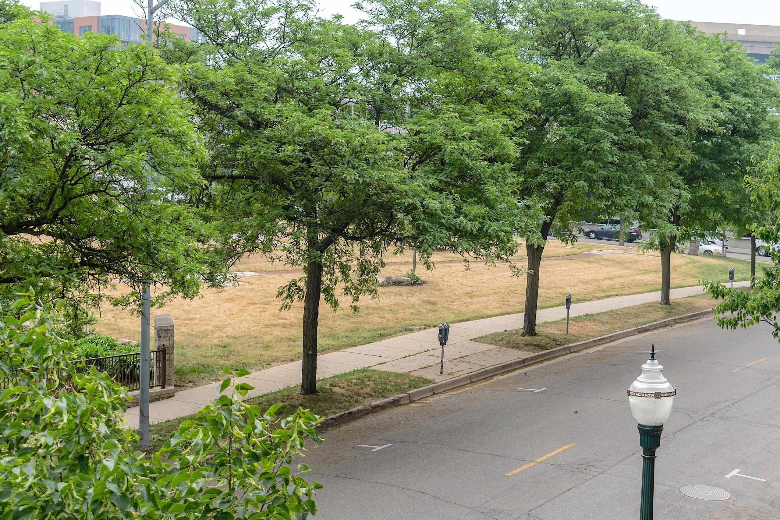 309 W Washington Avenue 310