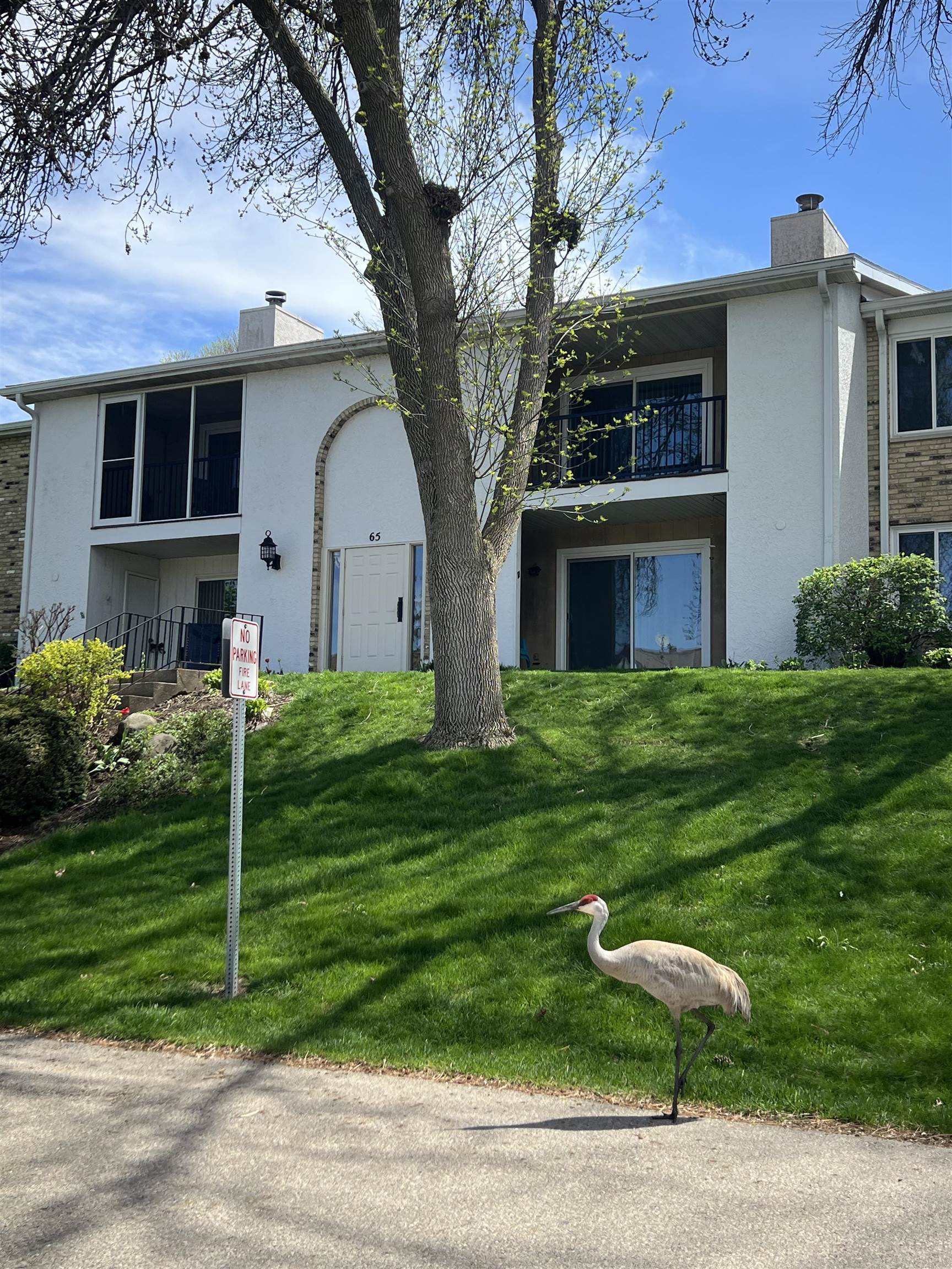 65 Golf Course Road D