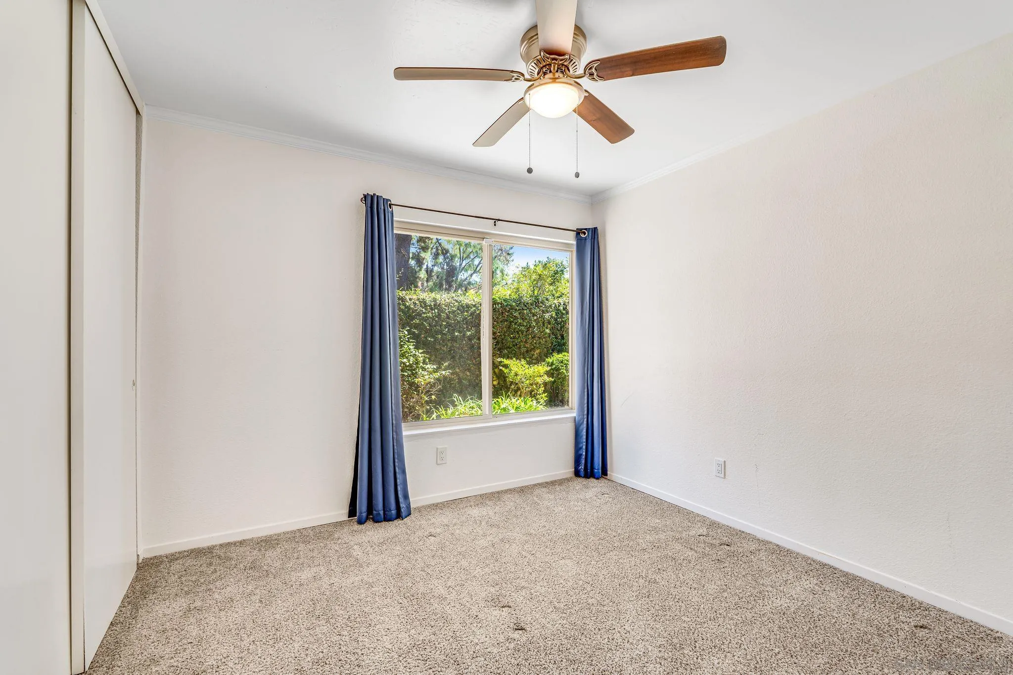 1891 Caminito Marzella