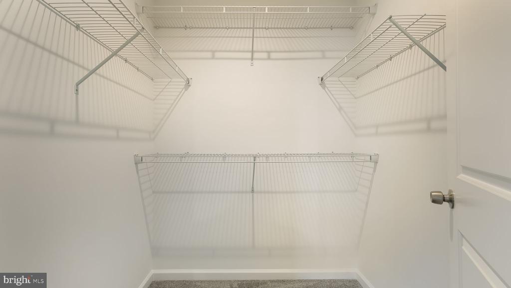 Empty walk-in closet with white wire shelving on three walls and carpeted flooring.