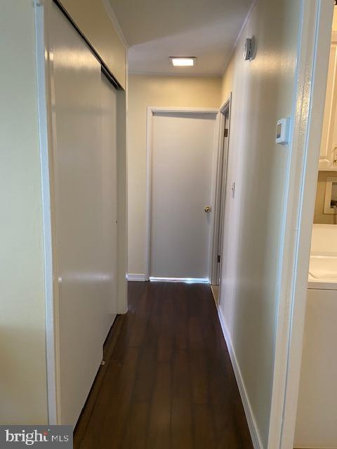44 Tall Pine Ln