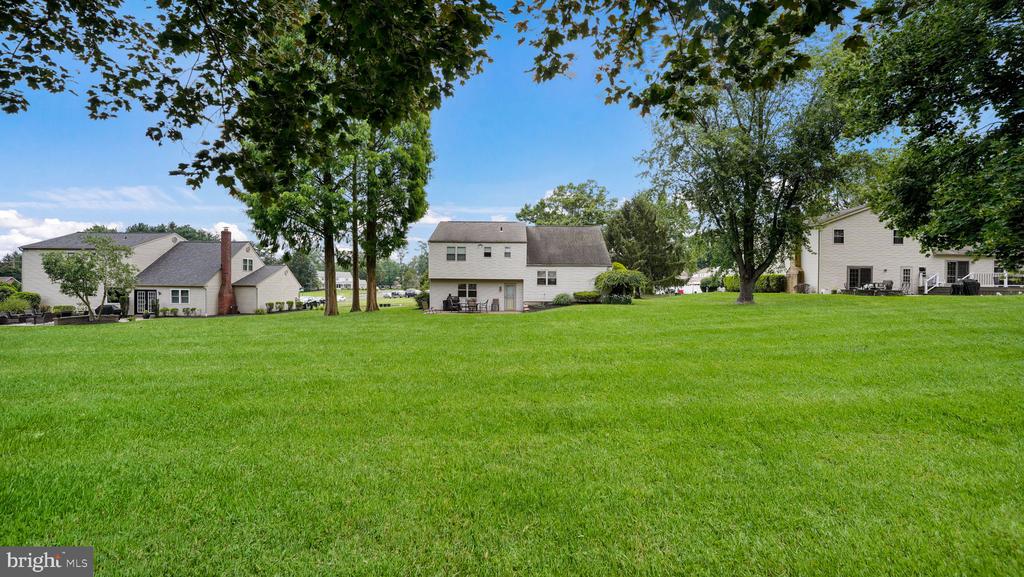 Broad green lawn framed by mature trees, with several houses along its far edge.
