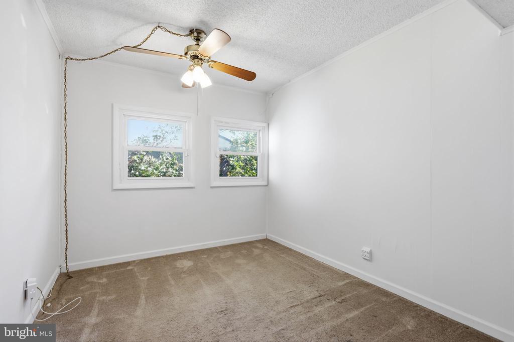 Vacant bedroom with beige carpet, two windows, and a ceiling fan with a light.