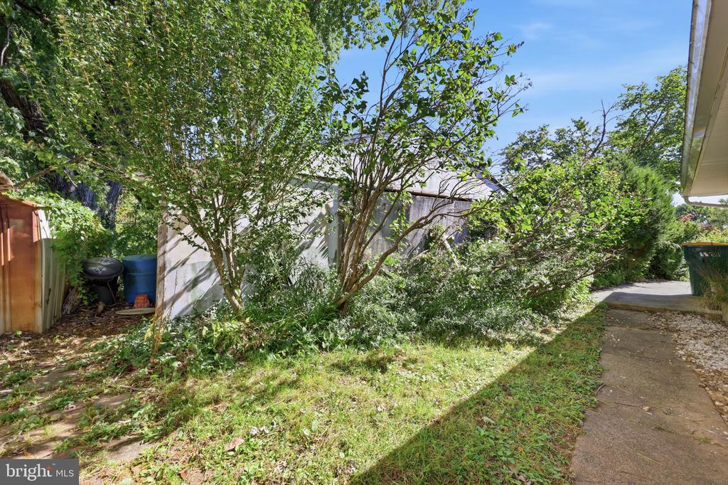 Side yard with mature trees and dense shrubs beside a paved walkway.