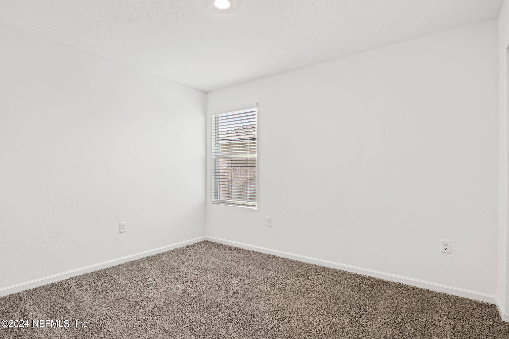 12567 RUBBER FIG Terrace
