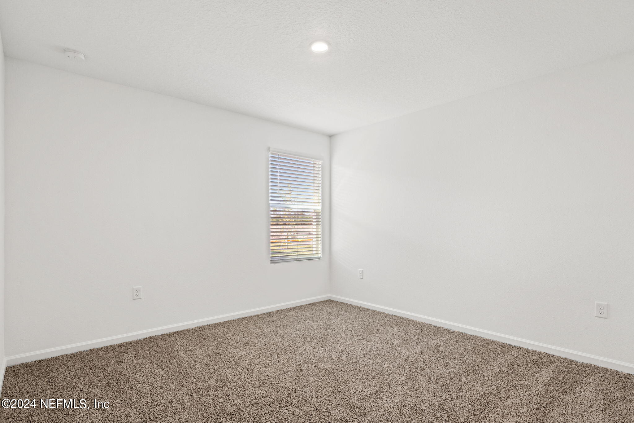 12567 RUBBER FIG Terrace