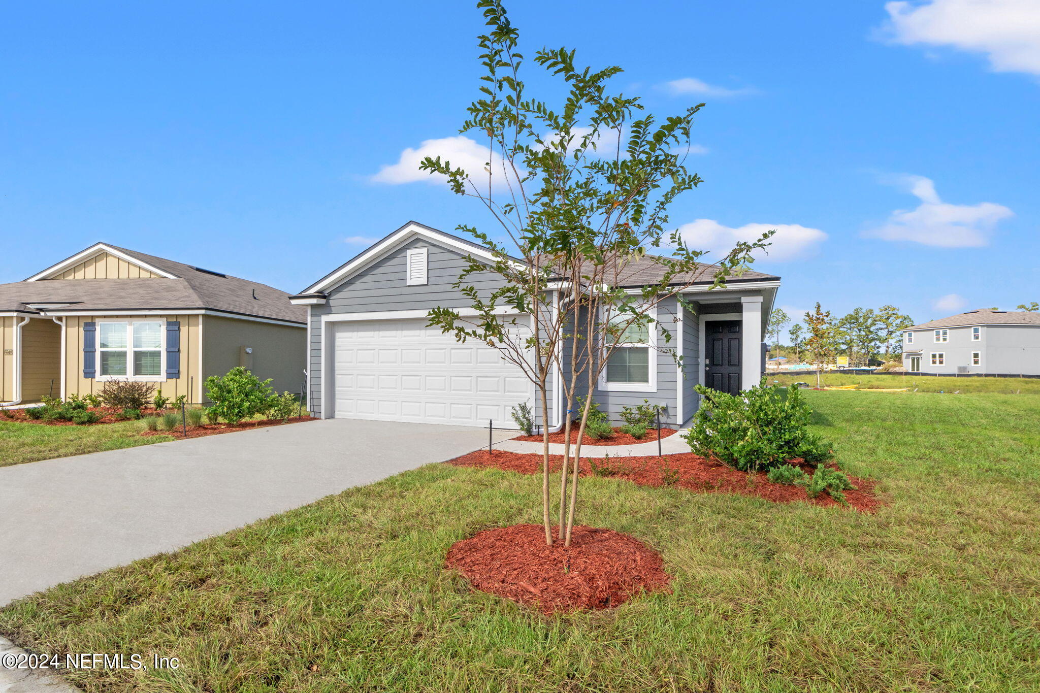 12567 RUBBER FIG Terrace