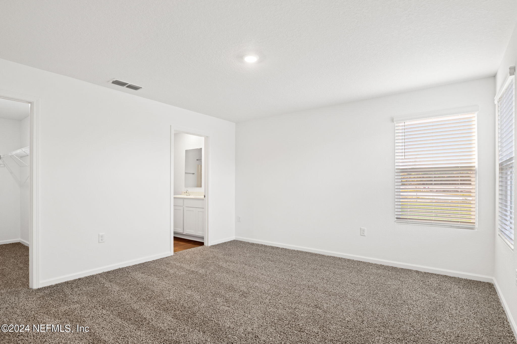 12567 RUBBER FIG Terrace