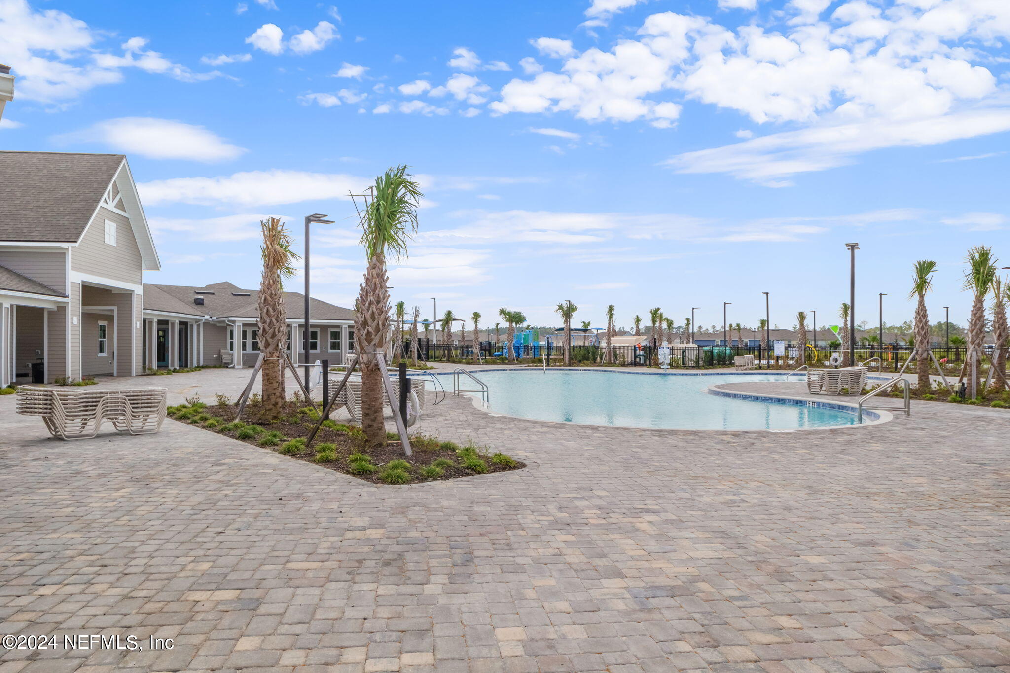 12567 RUBBER FIG Terrace
