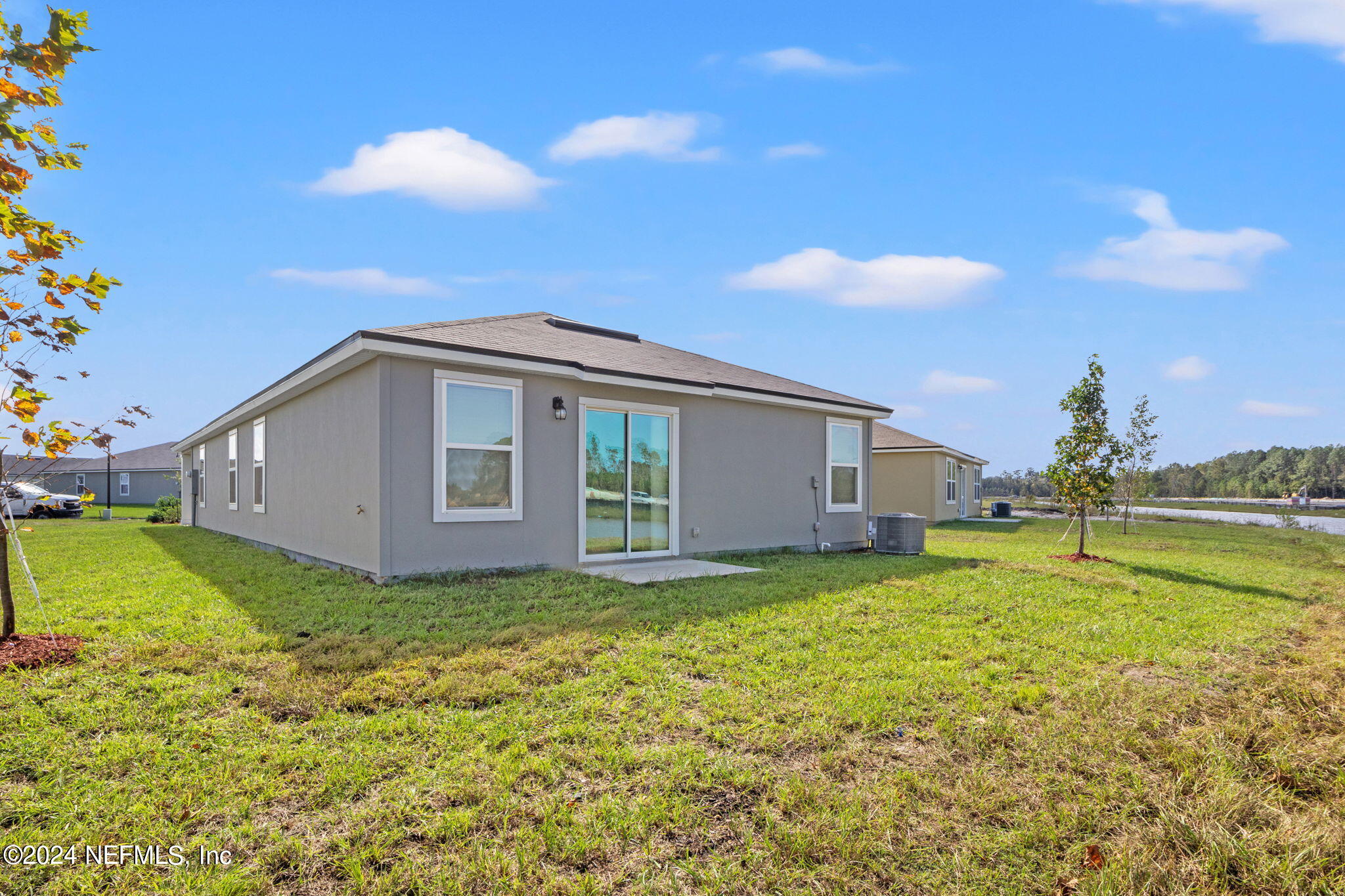 12567 RUBBER FIG Terrace