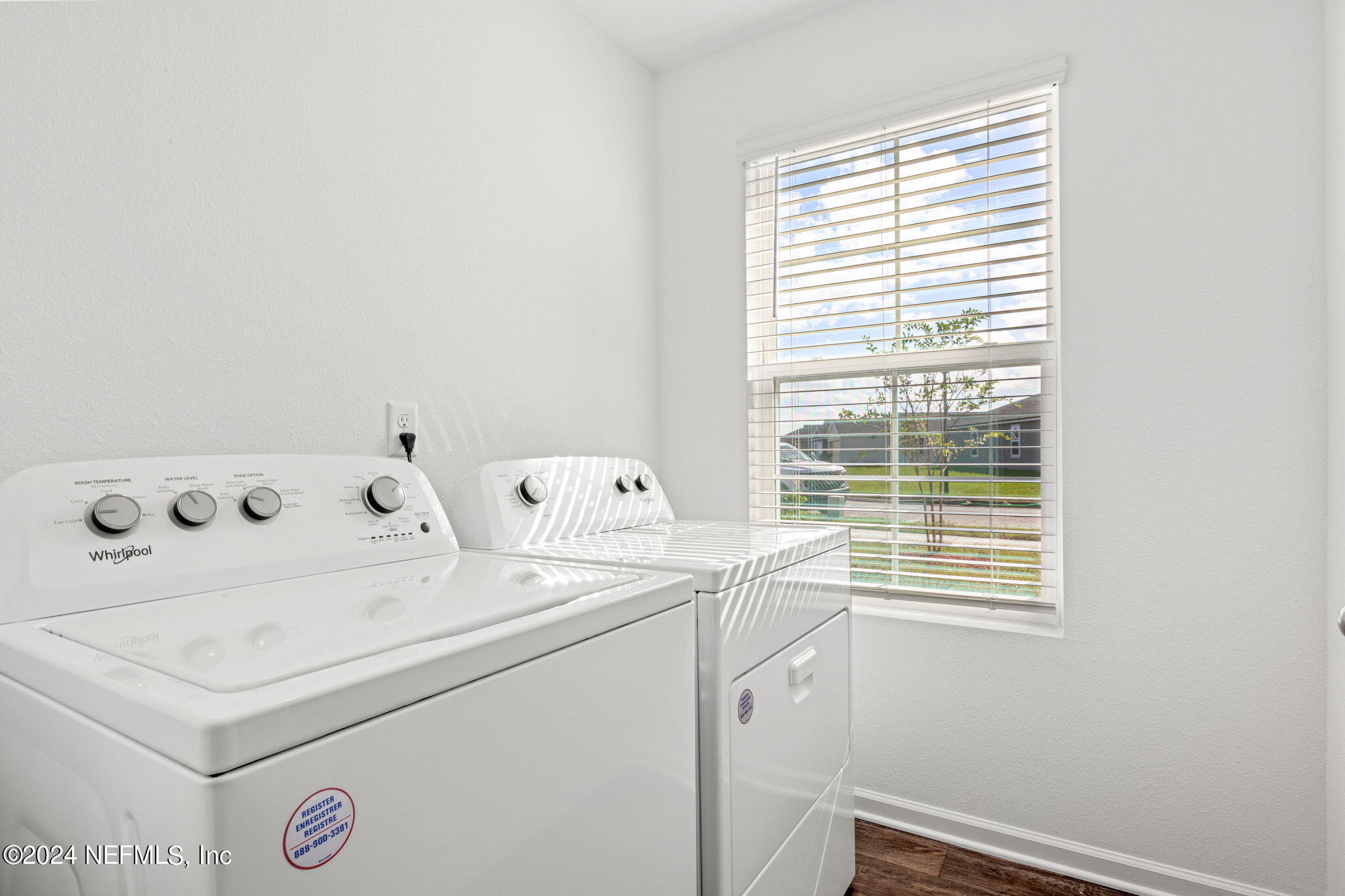 12567 RUBBER FIG Terrace
