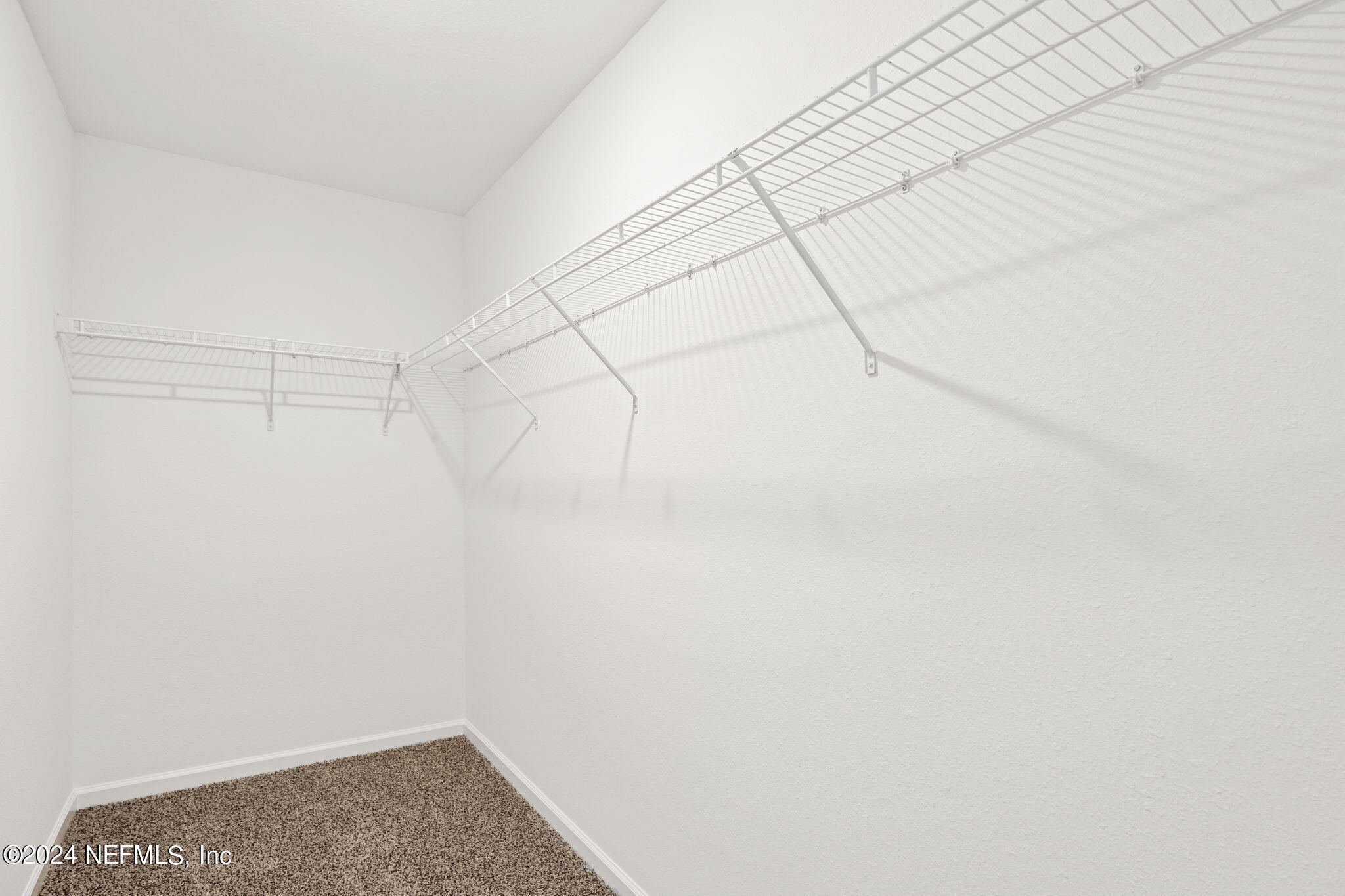 12567 RUBBER FIG Terrace