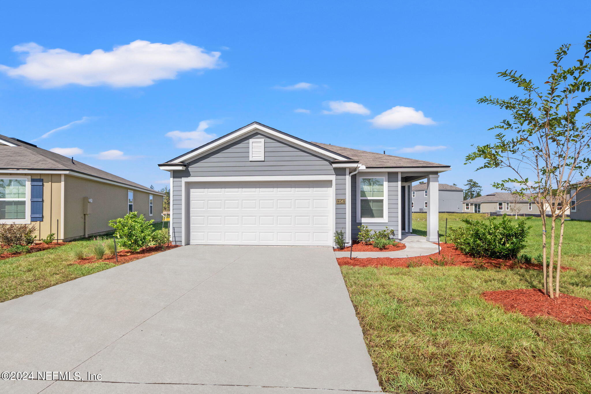 12567 RUBBER FIG Terrace