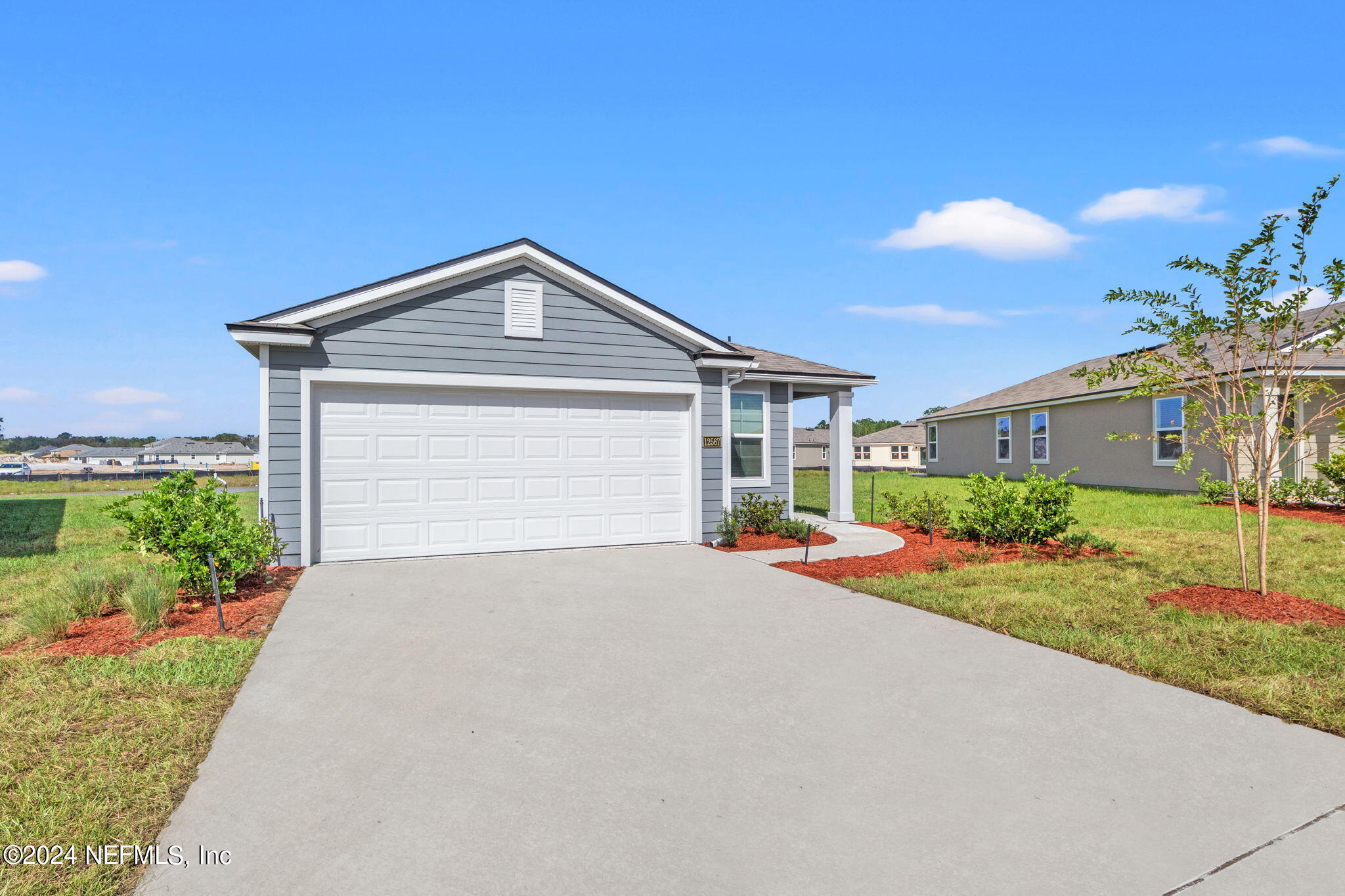 12567 RUBBER FIG Terrace