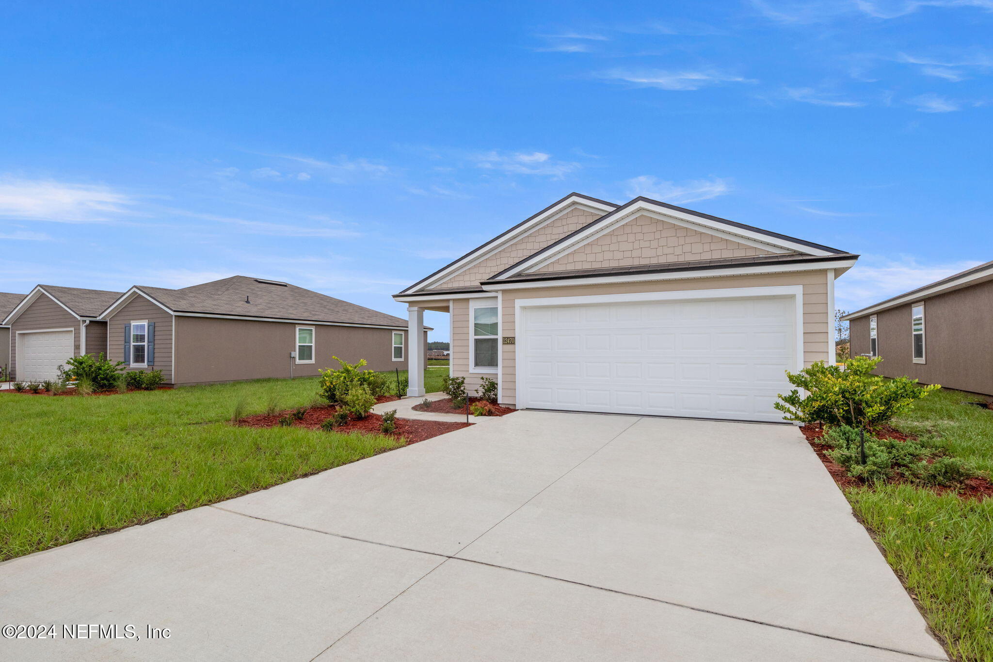 12470 RUBBER FIG Terrace