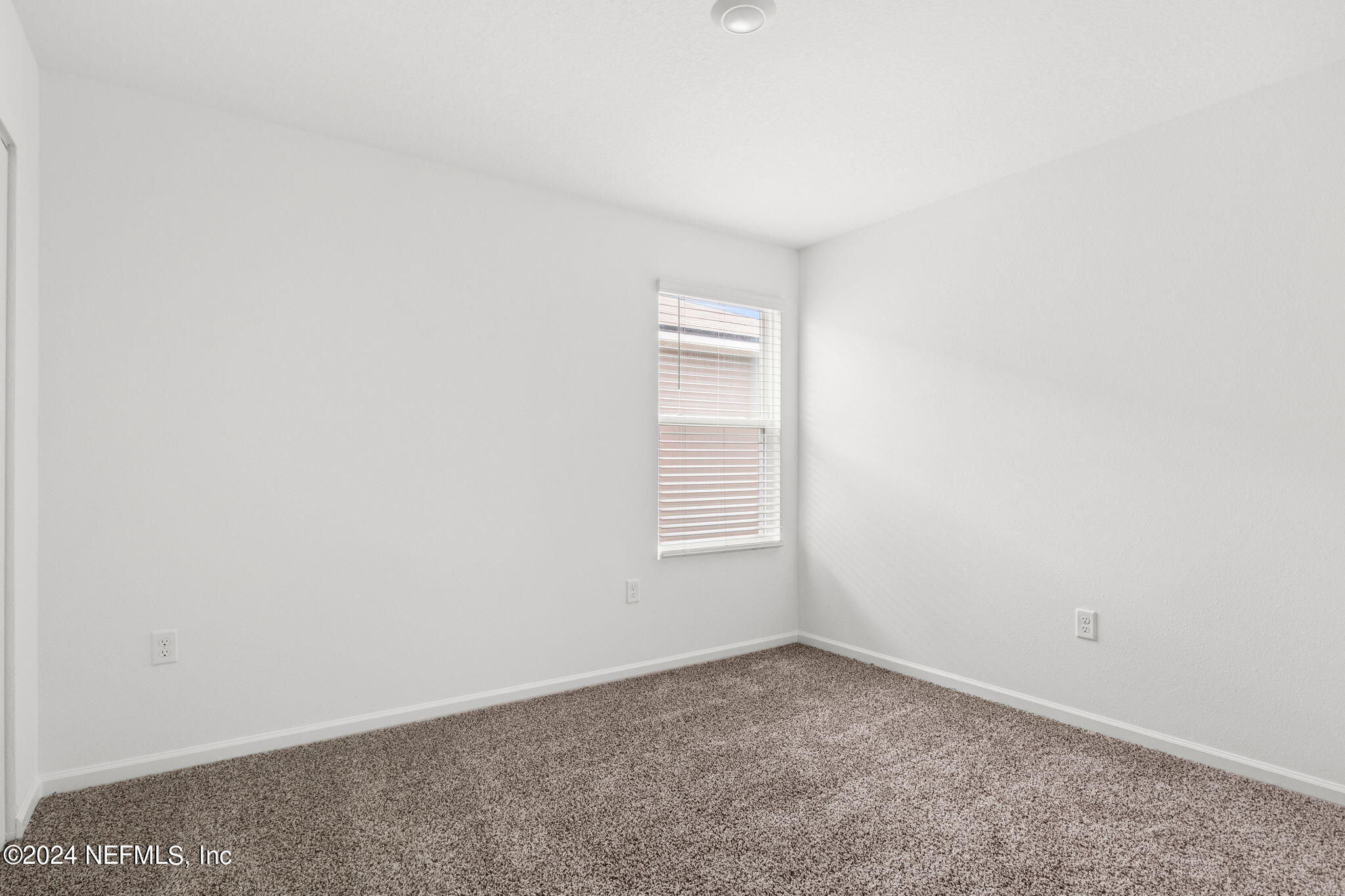 12470 RUBBER FIG Terrace