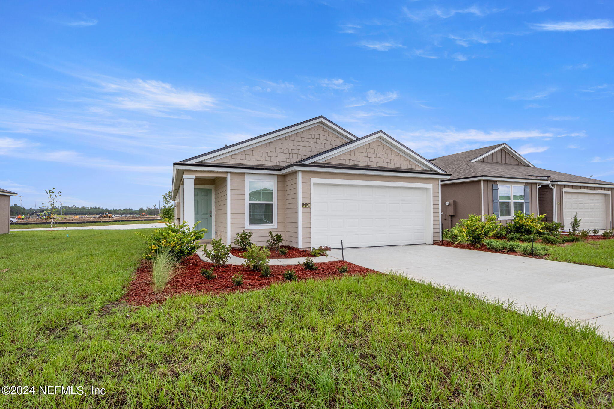 12470 RUBBER FIG Terrace