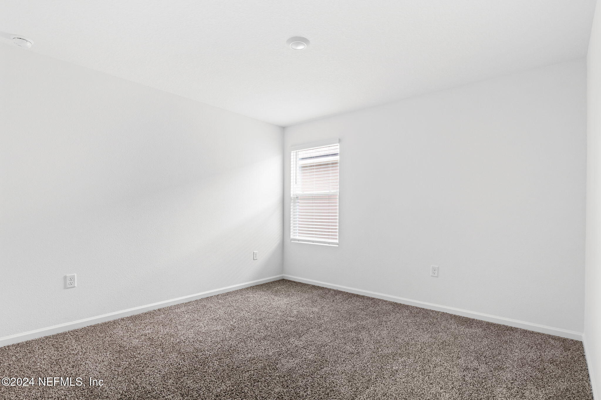 12470 RUBBER FIG Terrace