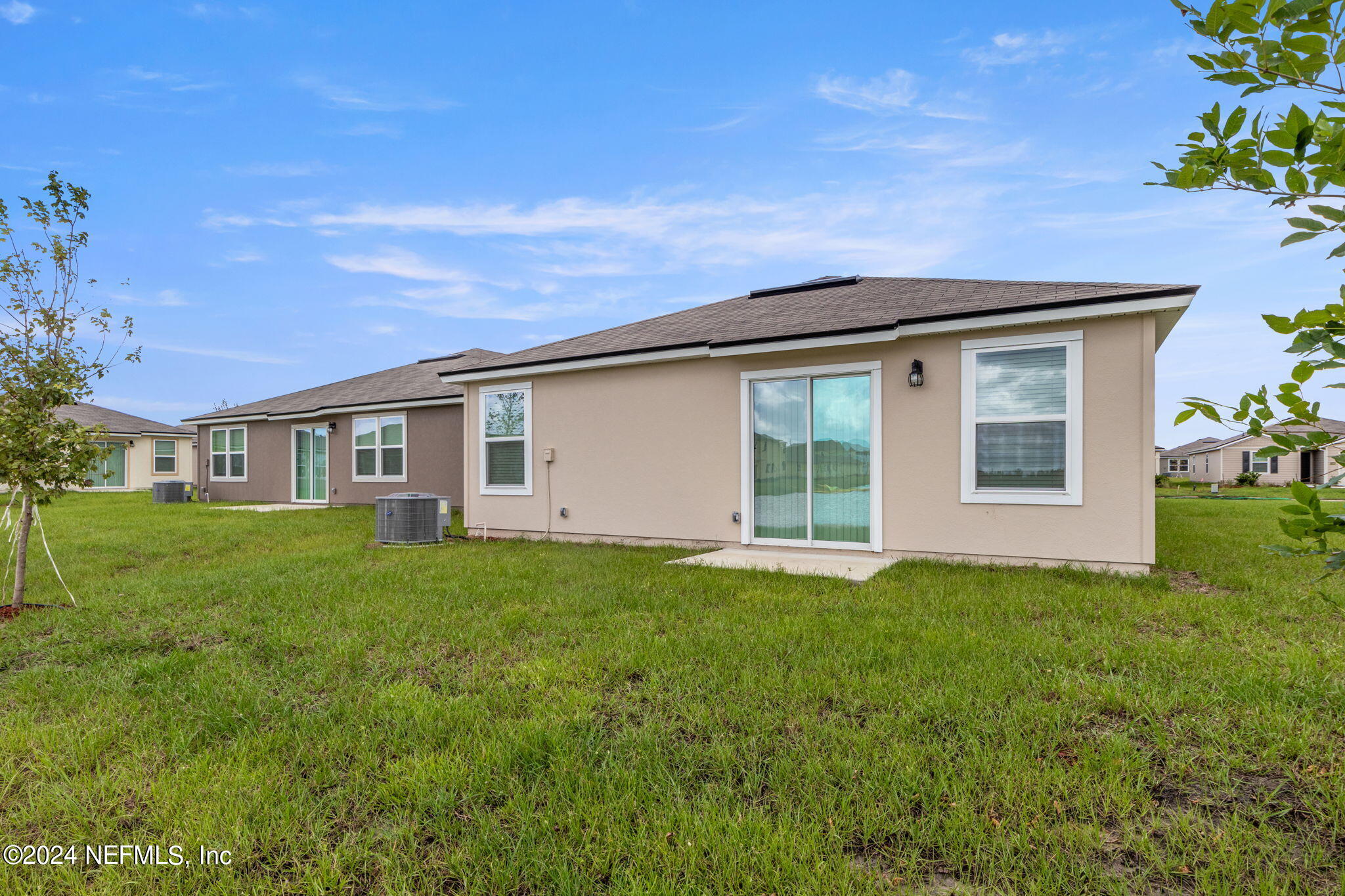 12470 RUBBER FIG Terrace