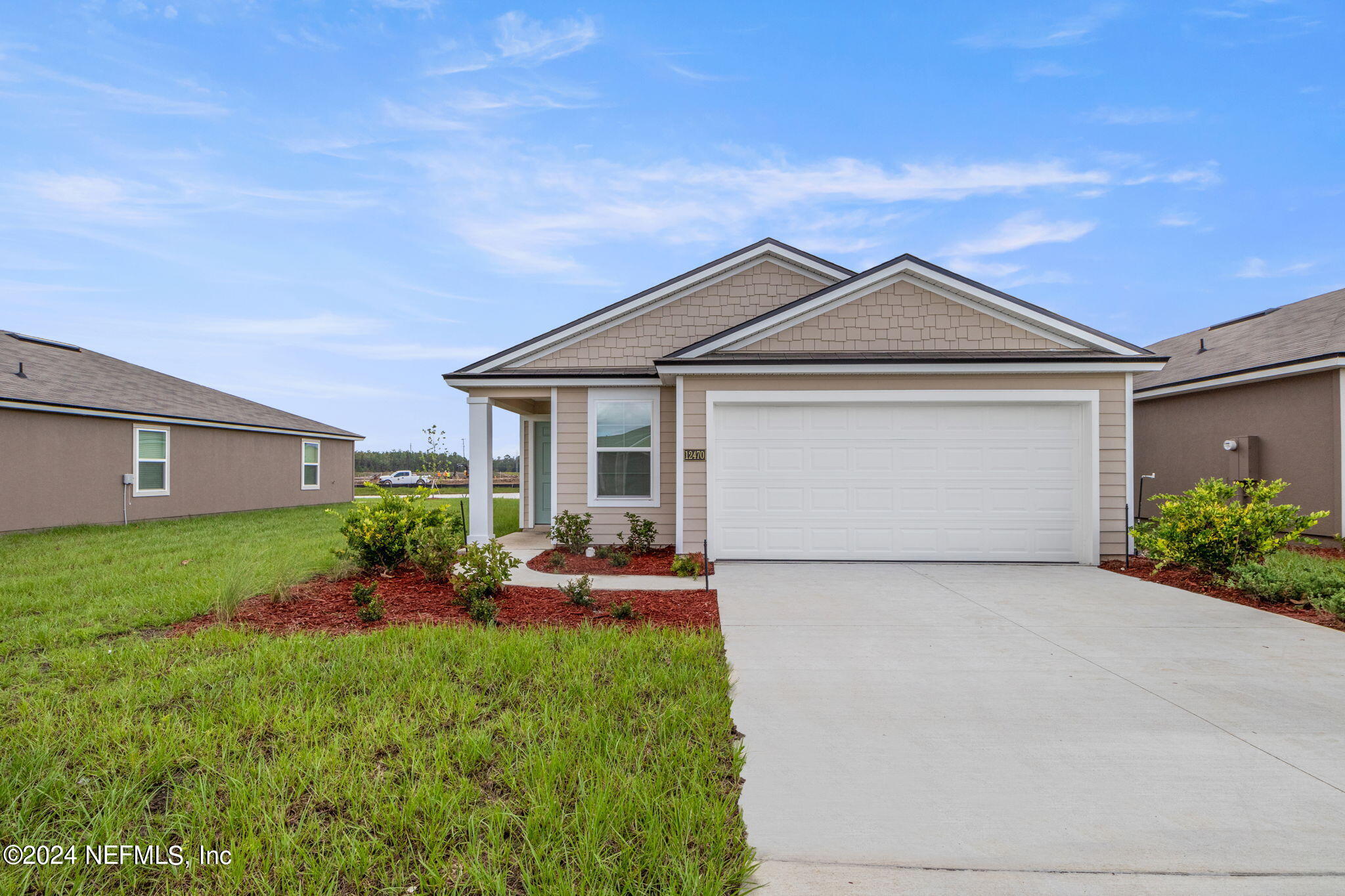 12470 RUBBER FIG Terrace