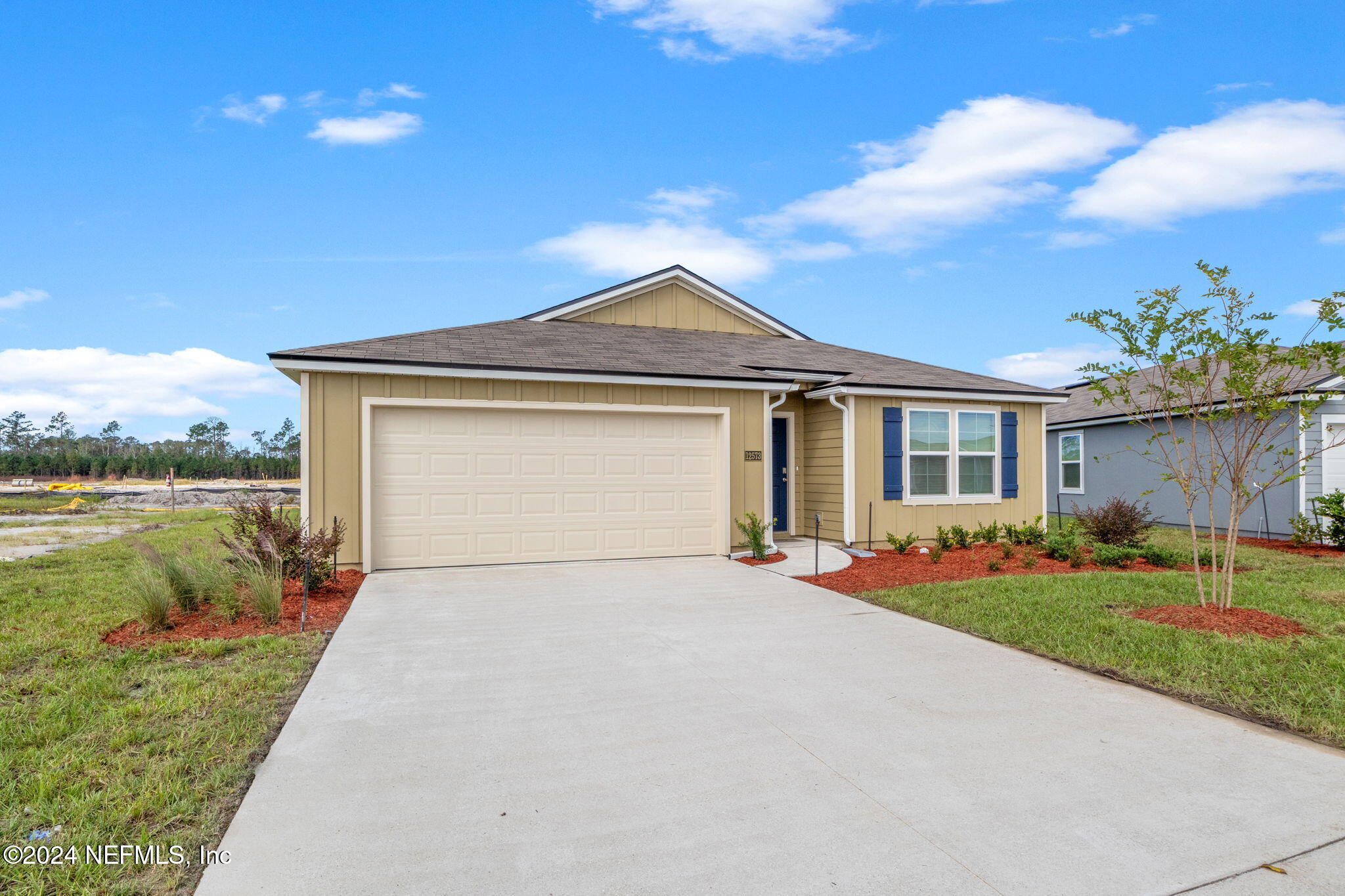 12573 RUBBER FIG Terrace