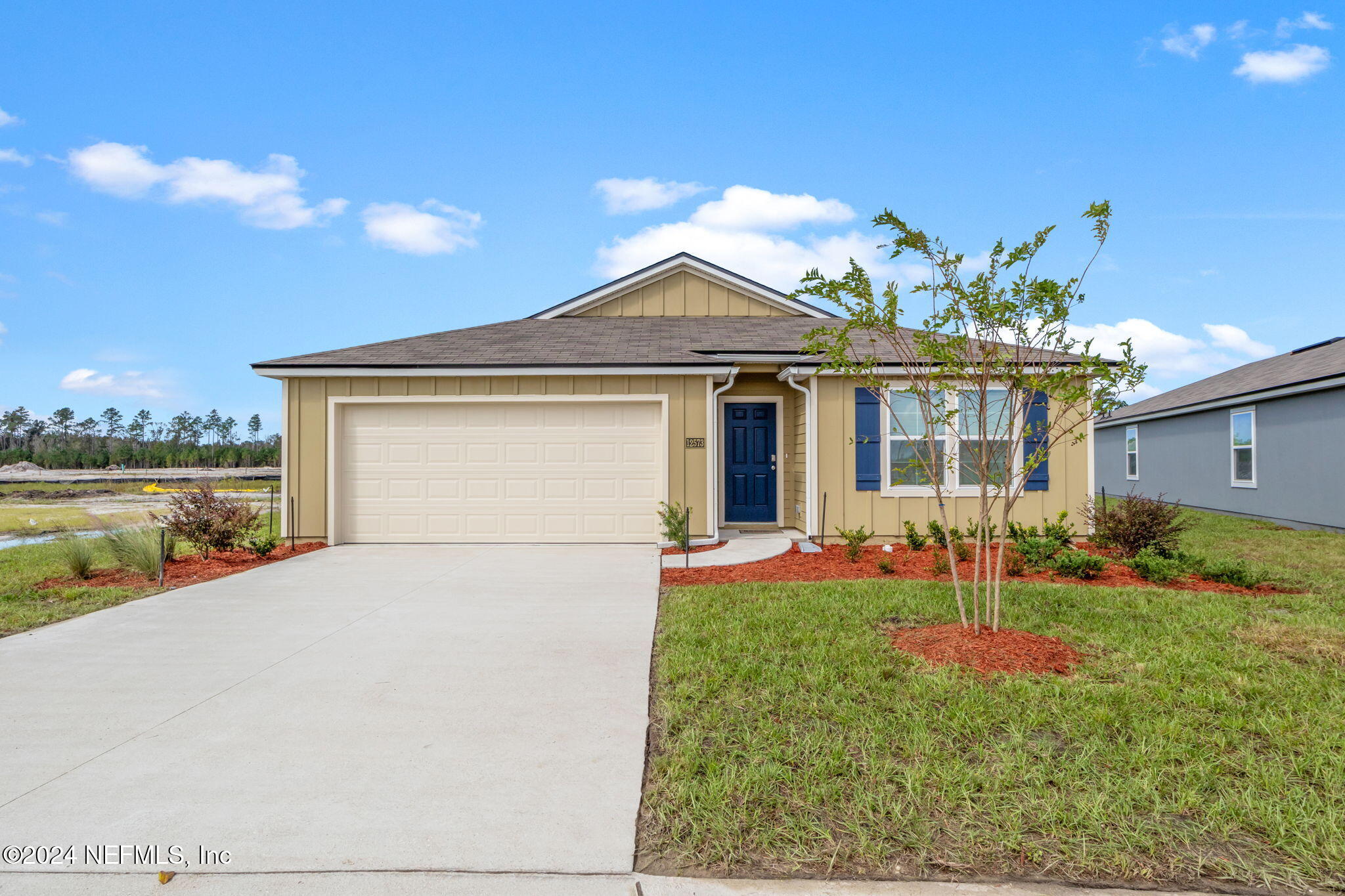 12573 RUBBER FIG Terrace
