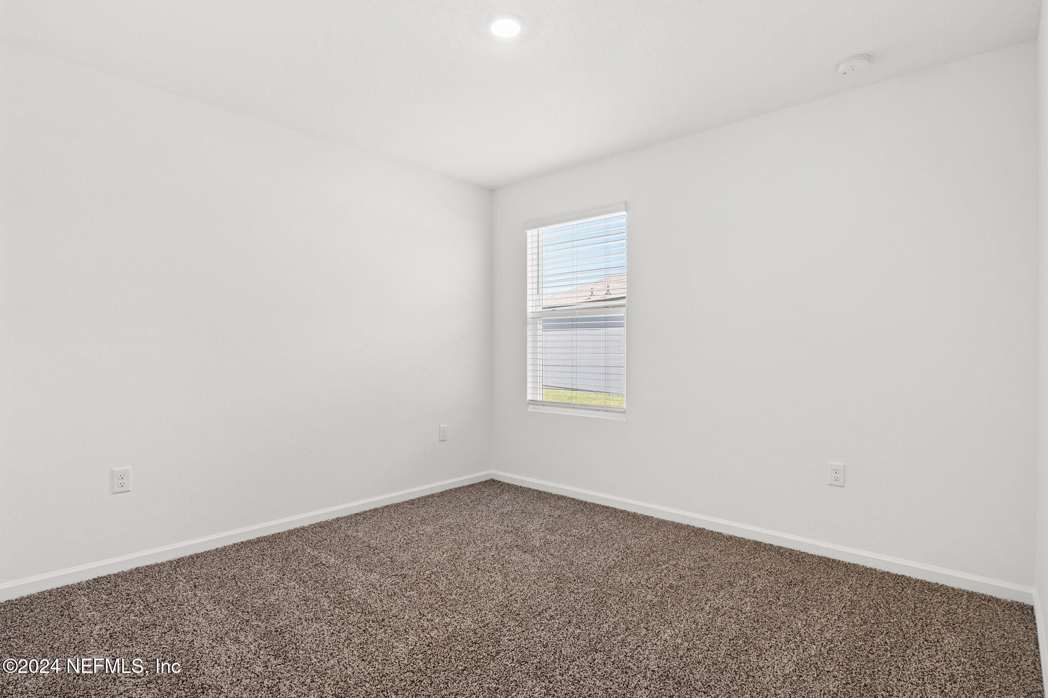 12573 RUBBER FIG Terrace