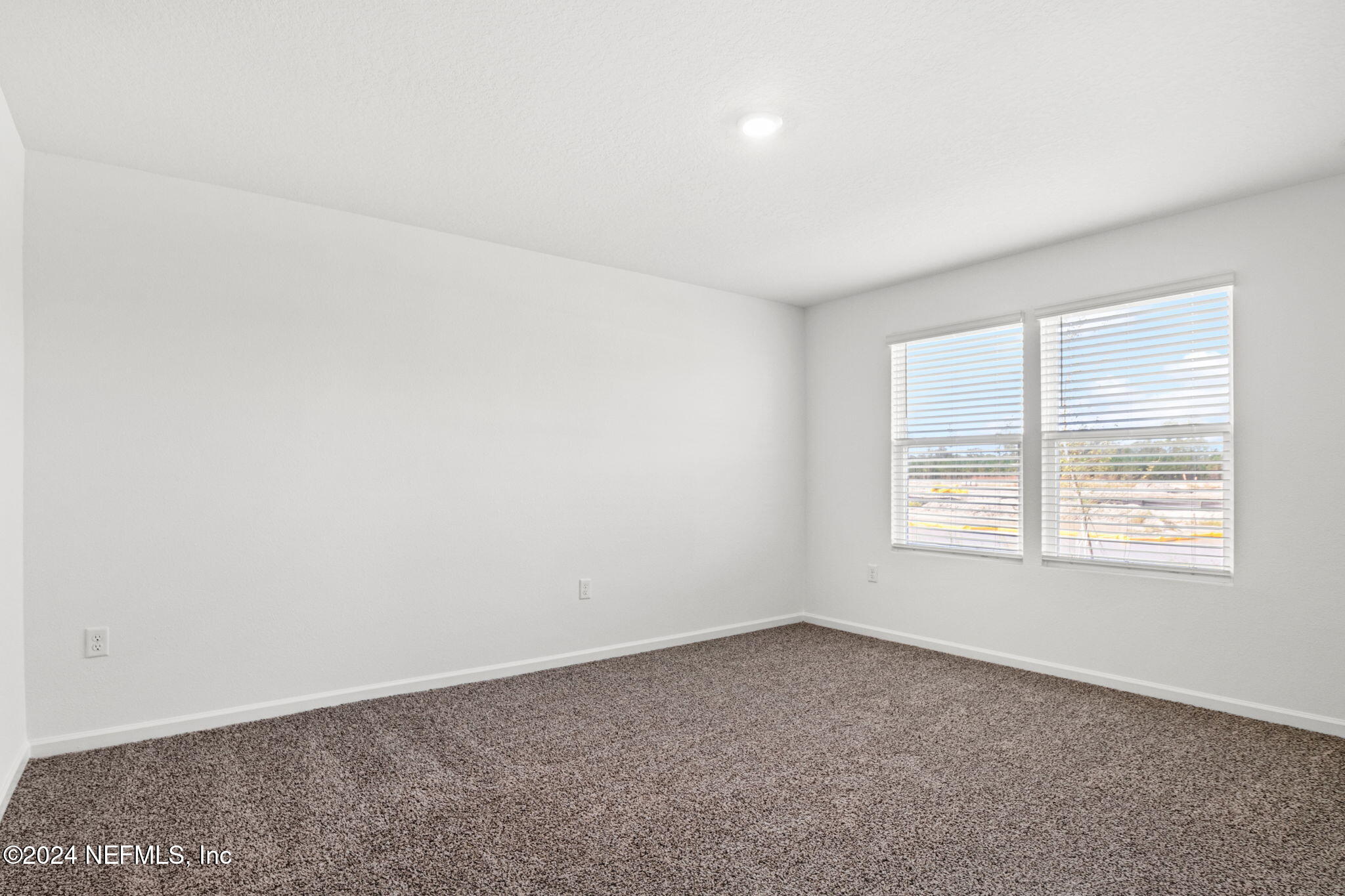 12573 RUBBER FIG Terrace