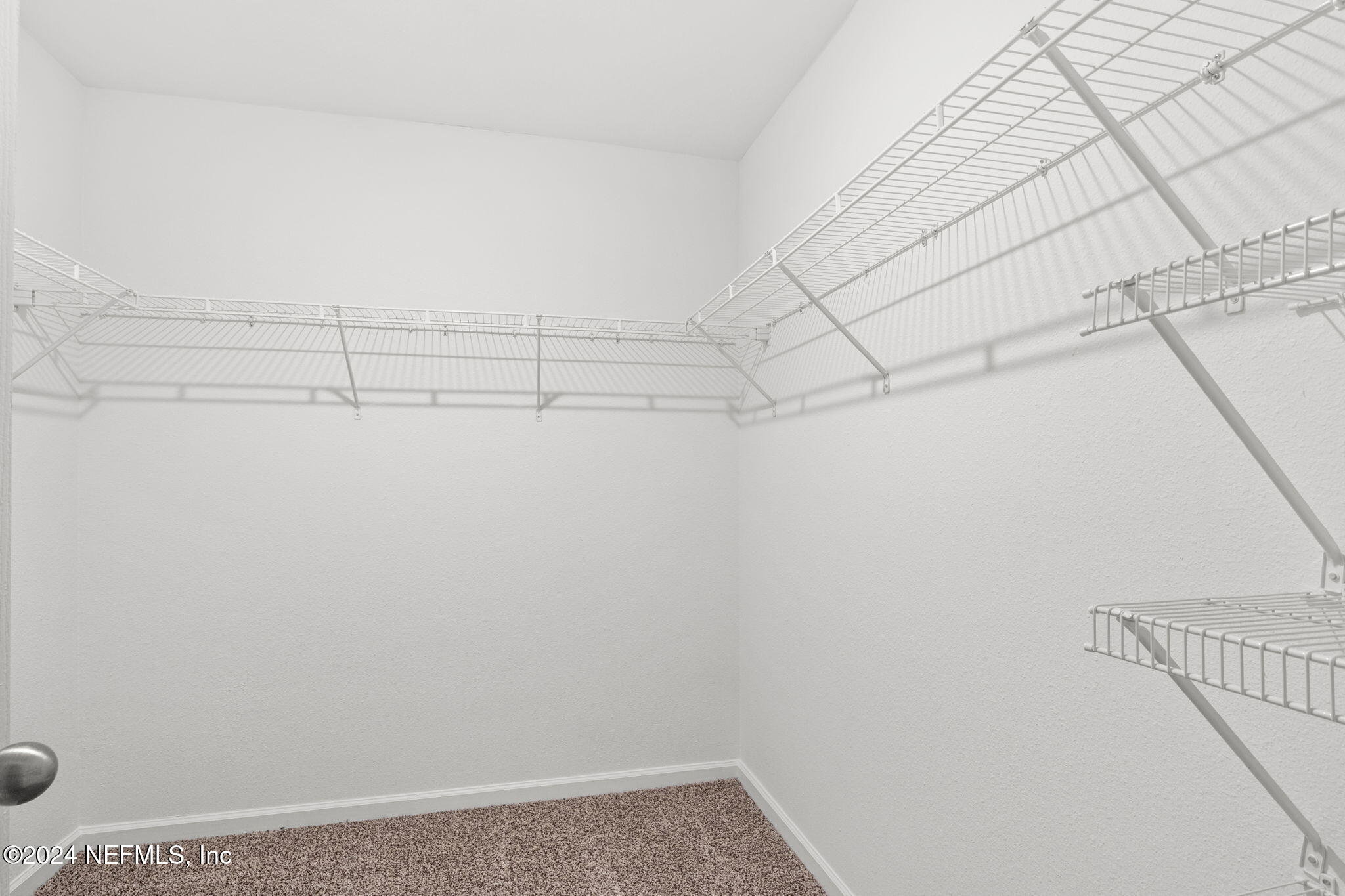 12573 RUBBER FIG Terrace