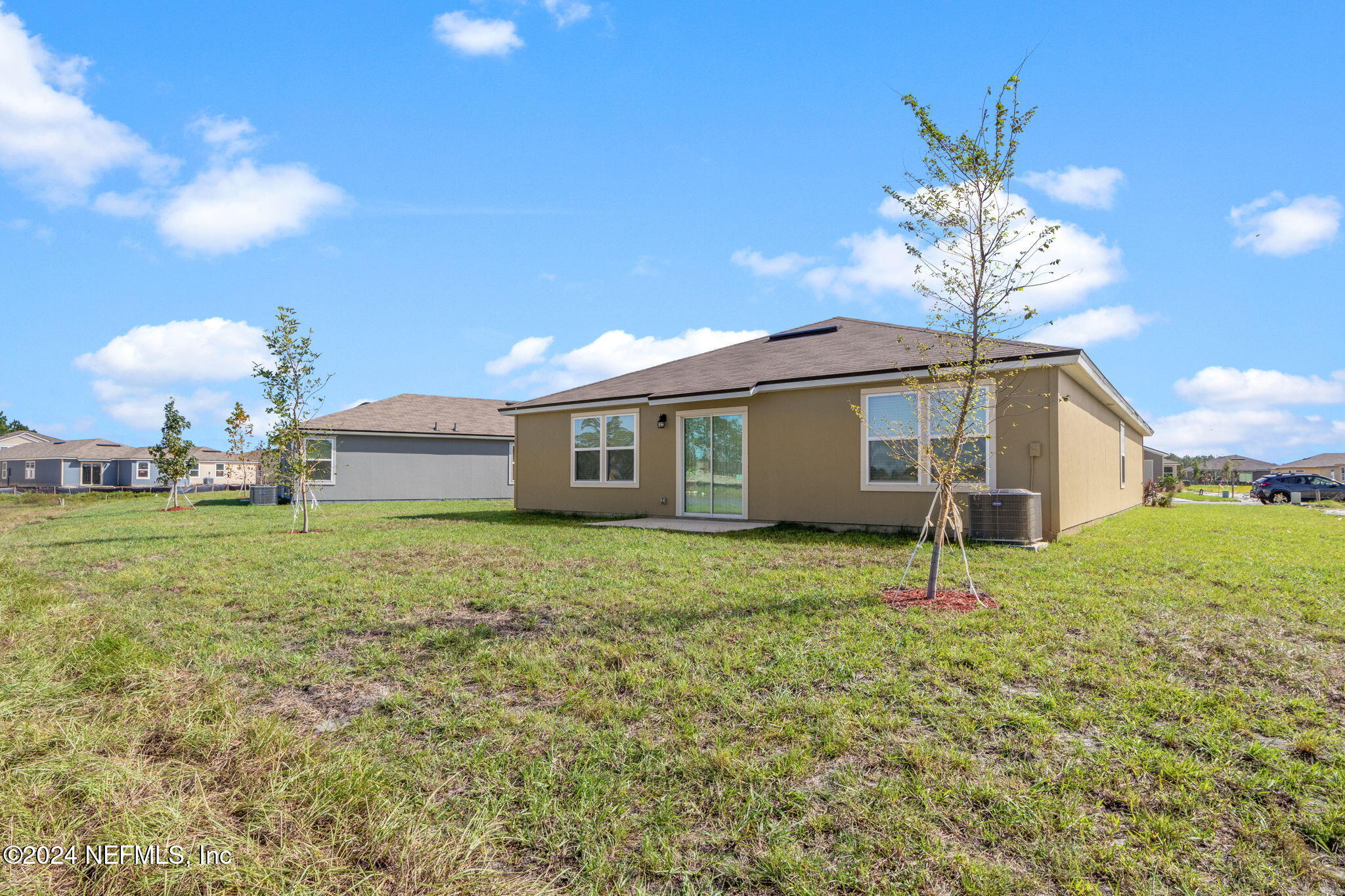 12573 RUBBER FIG Terrace