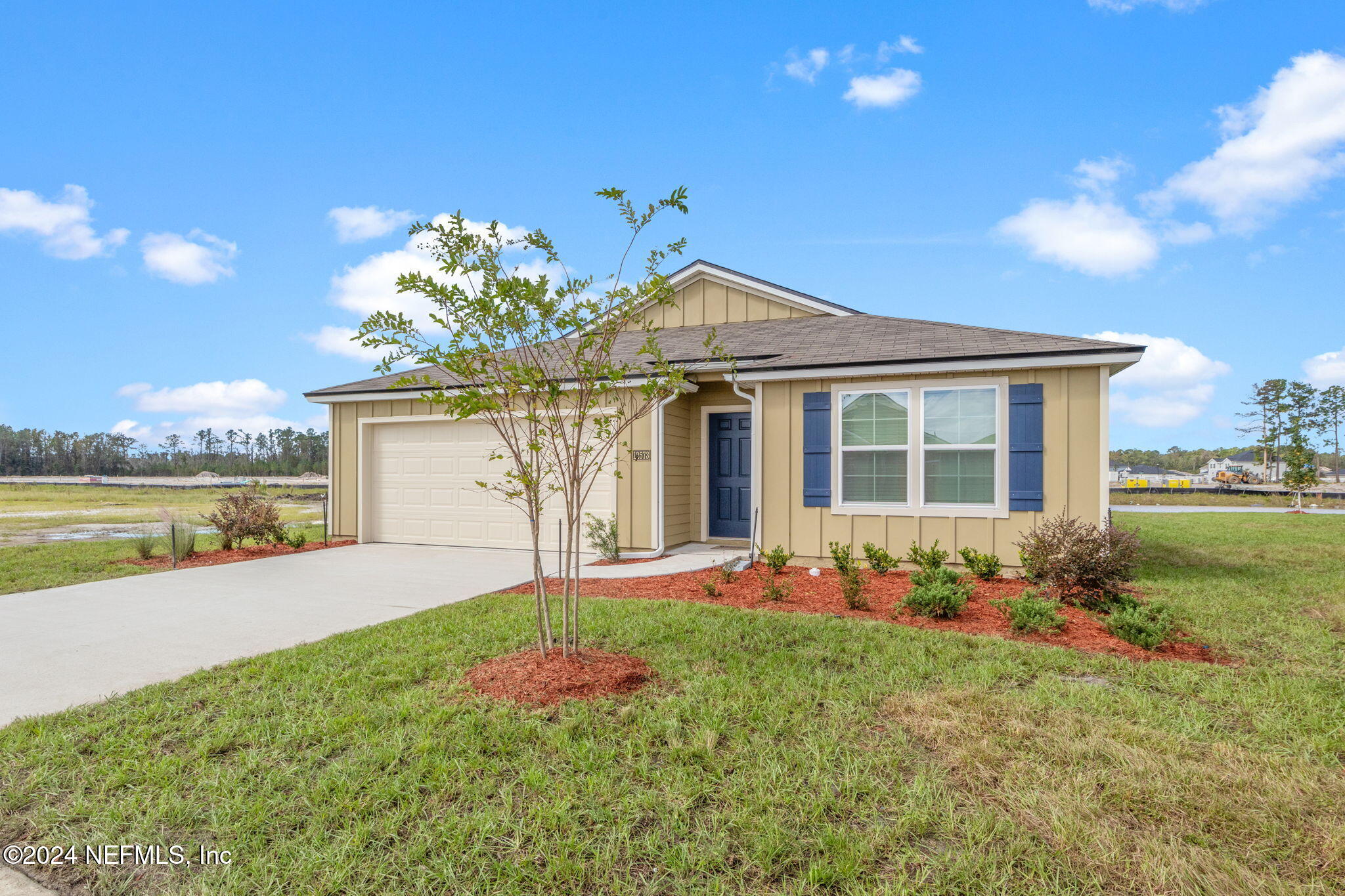 12573 RUBBER FIG Terrace