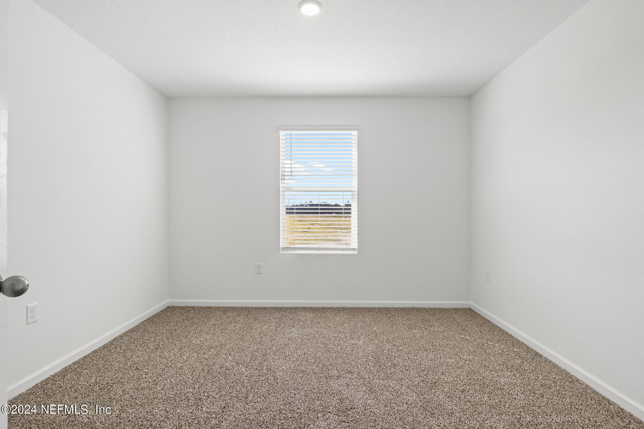 12573 RUBBER FIG Terrace