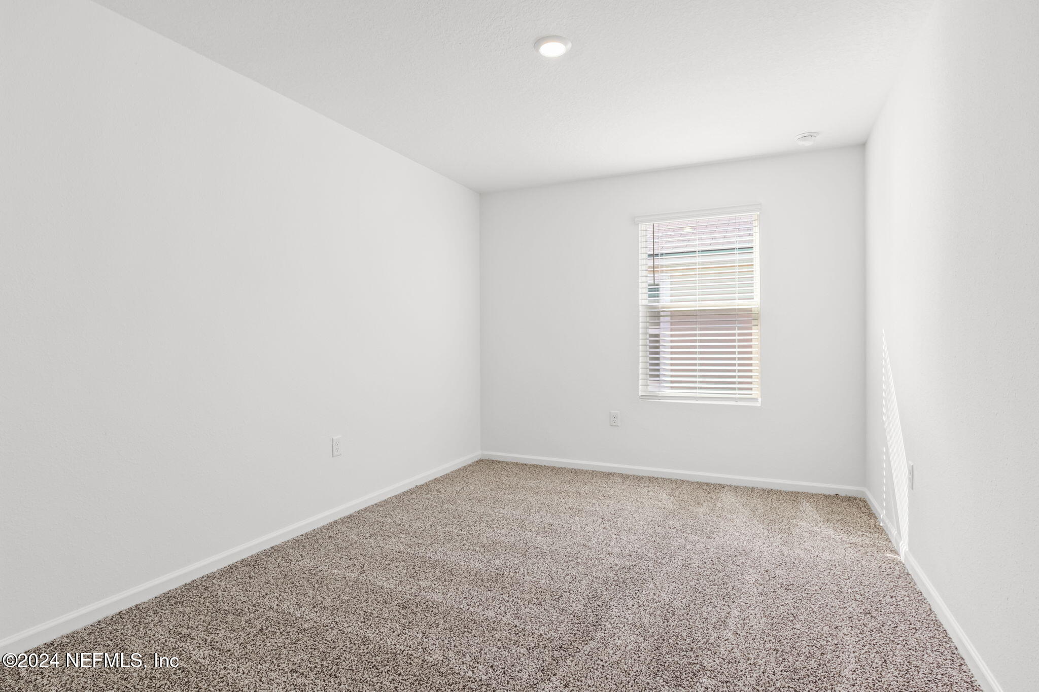 12927 RUBBER FIG Terrace