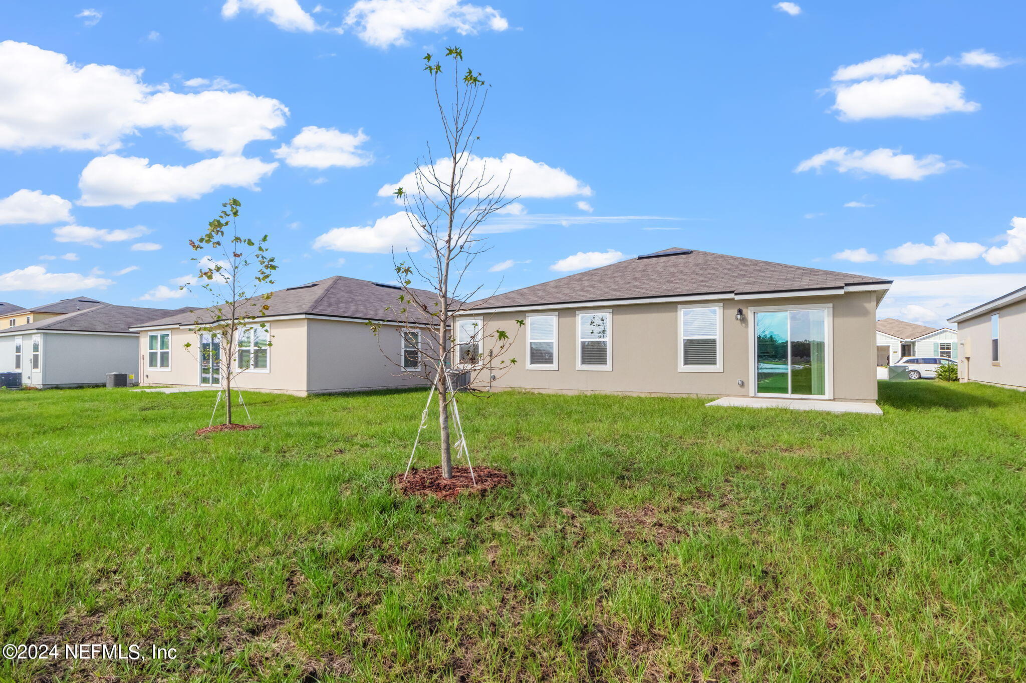 12927 RUBBER FIG Terrace