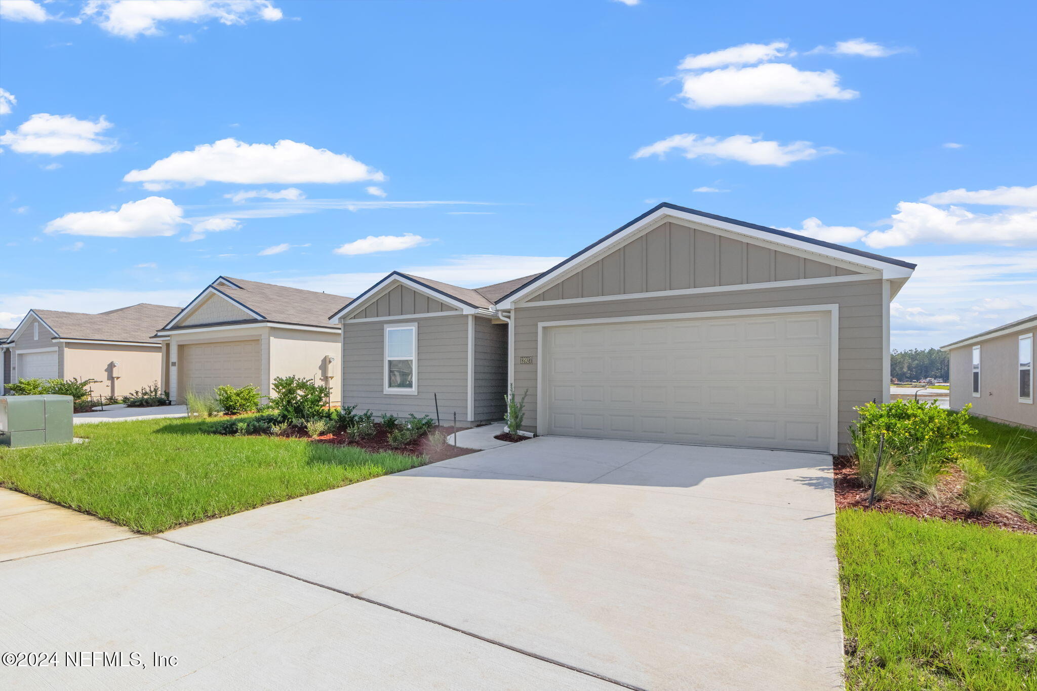 12927 RUBBER FIG Terrace