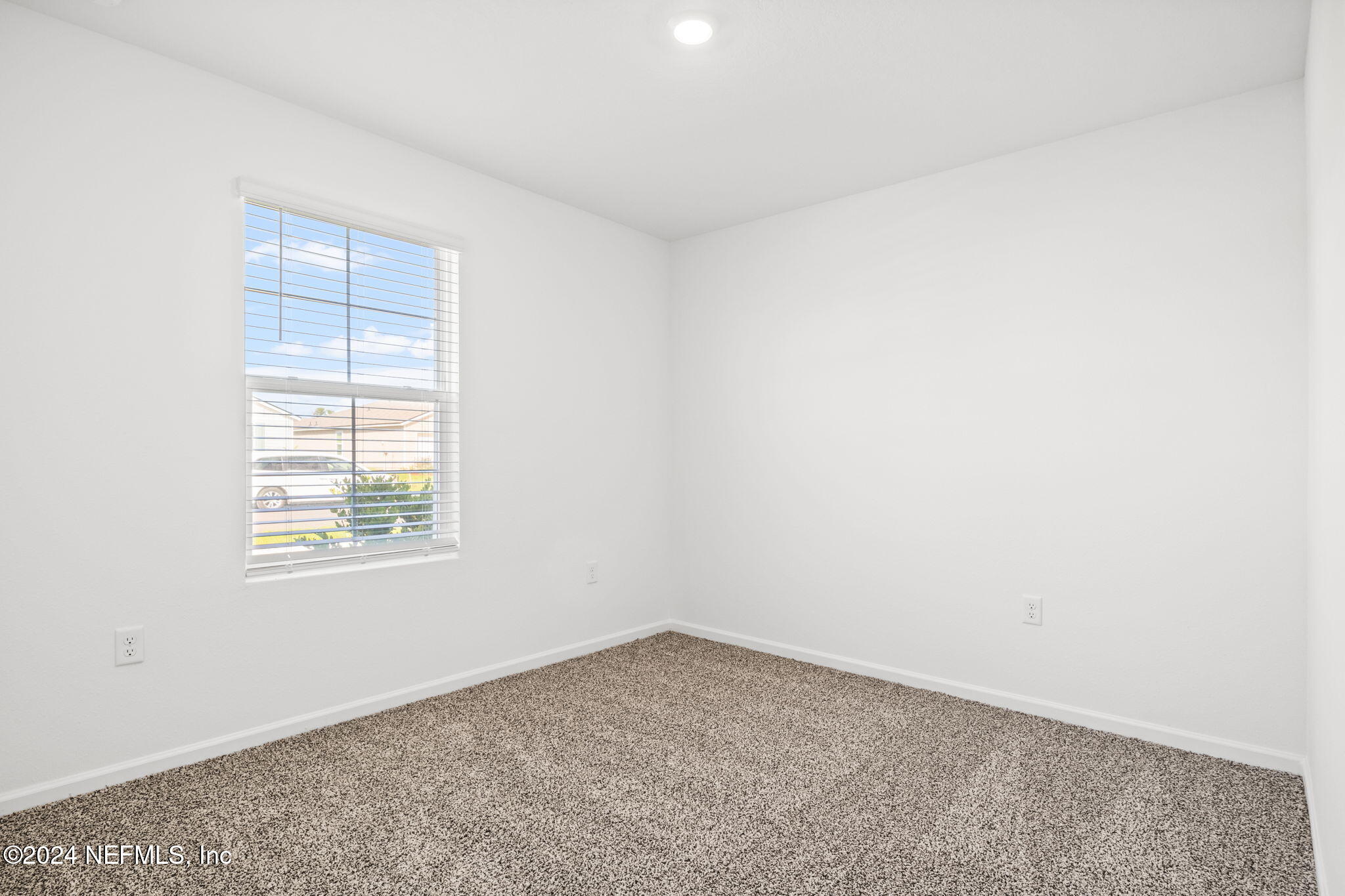 12927 RUBBER FIG Terrace