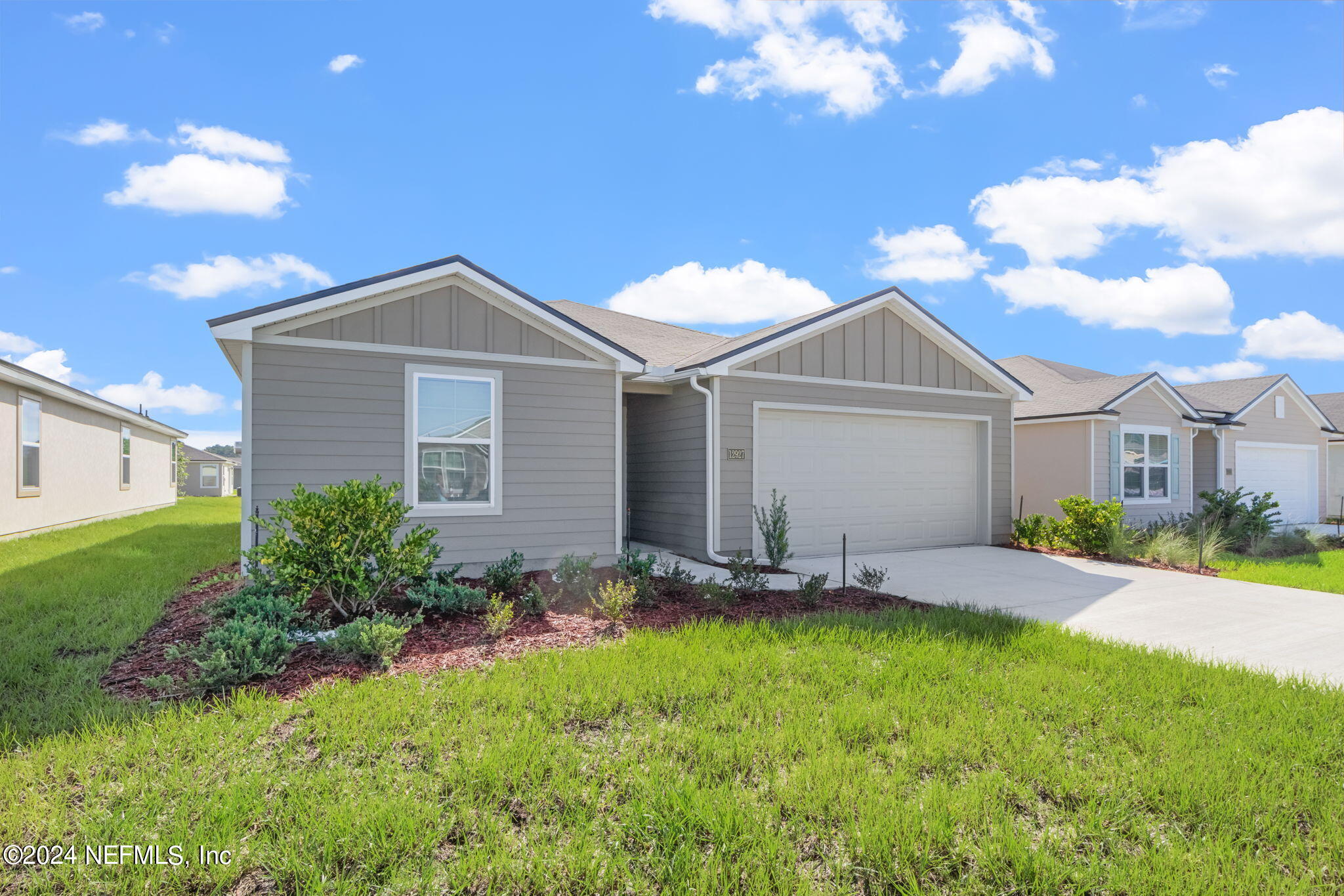 12927 RUBBER FIG Terrace